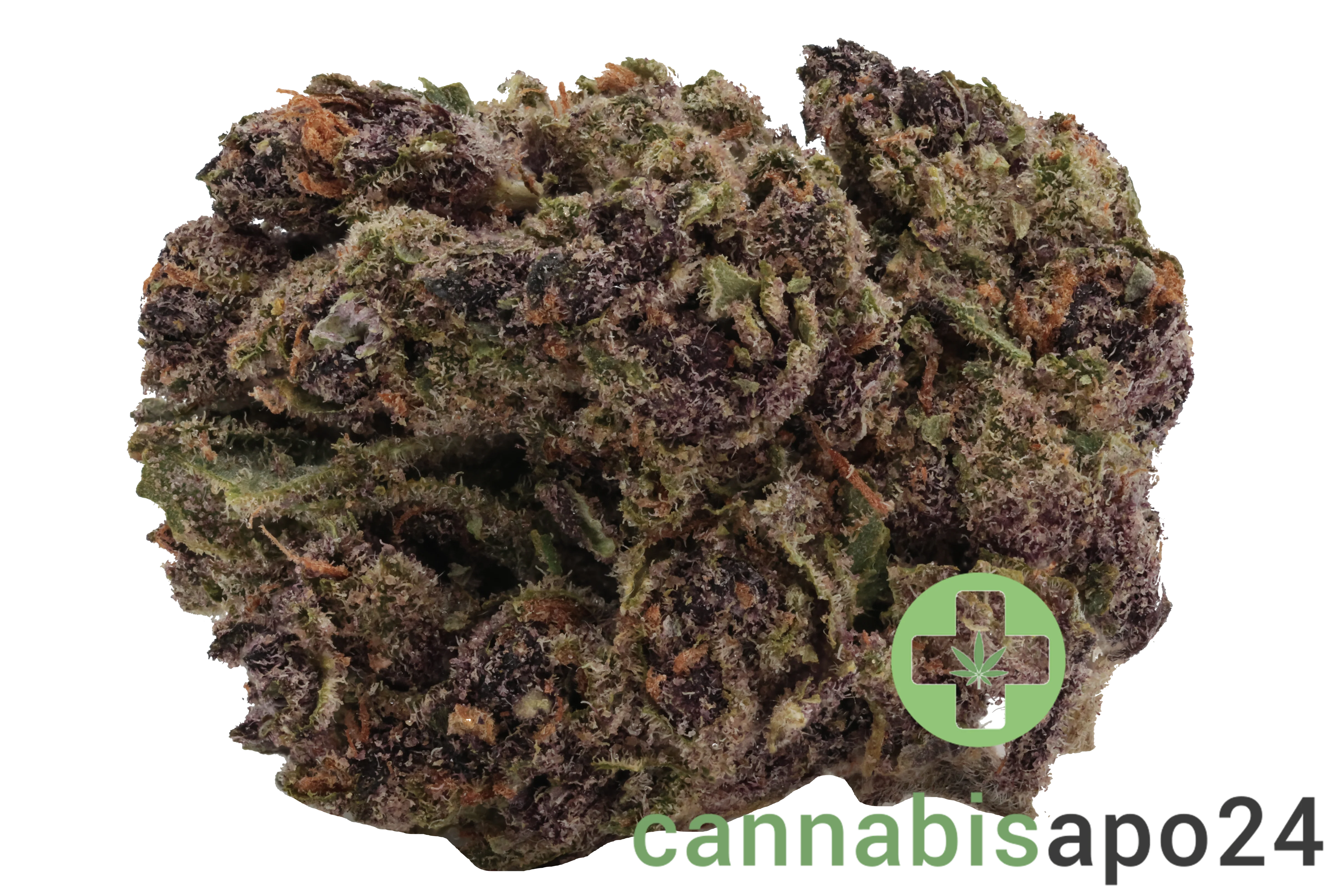 22/1 N!CE TR Tropicana Cookies