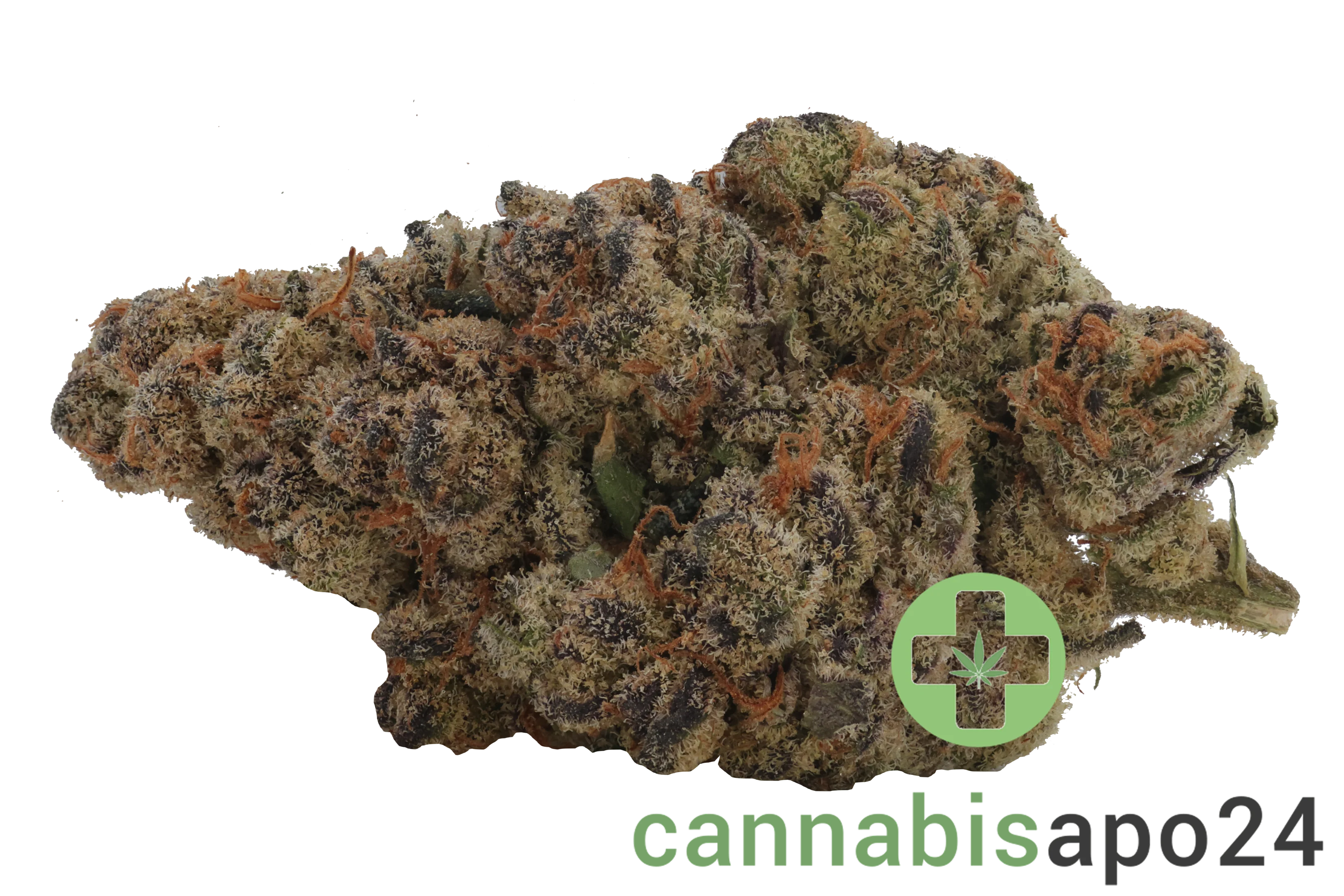24/1 Amici BH Blueberry Headband