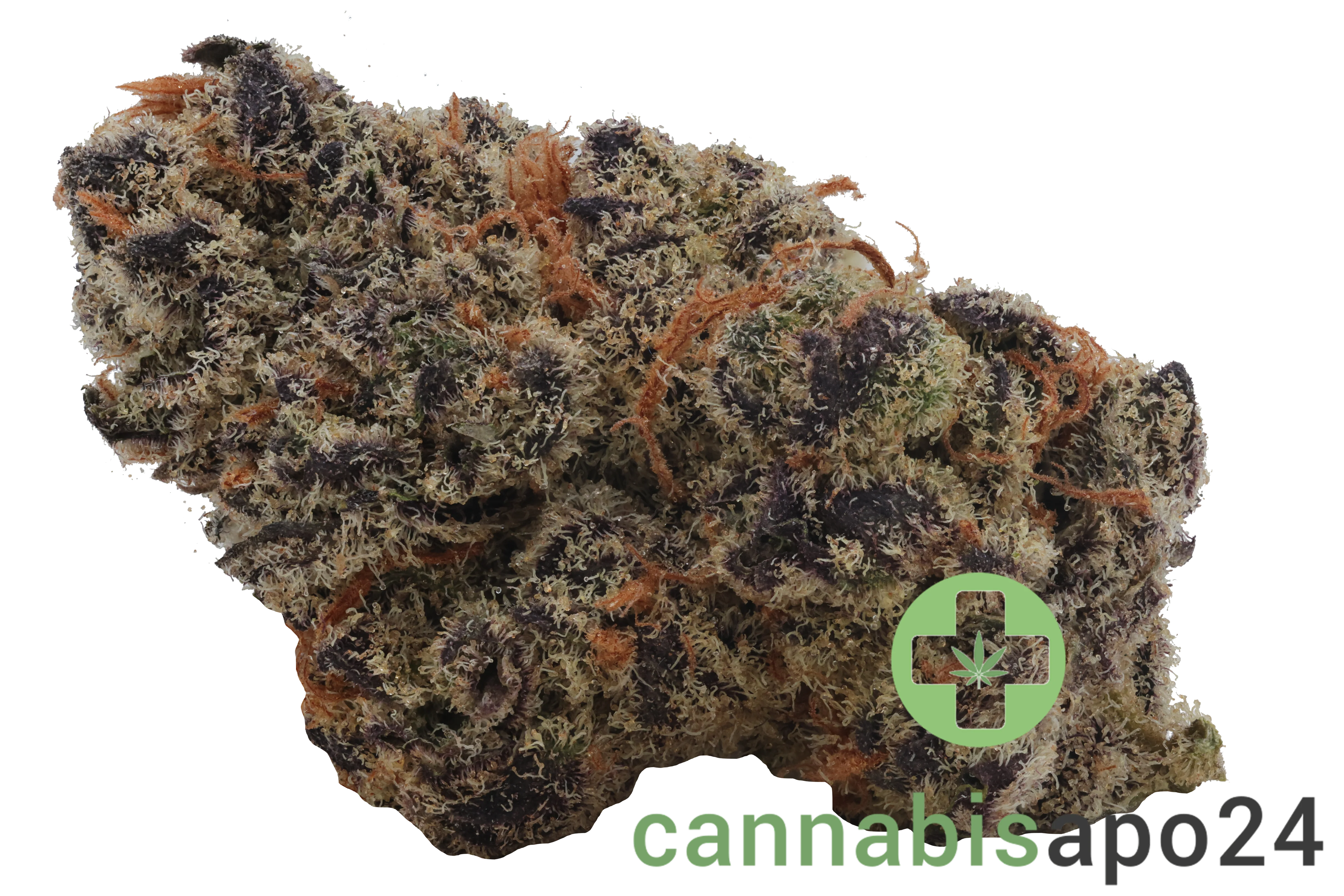 26/1 Amici BH Blueberry Headband