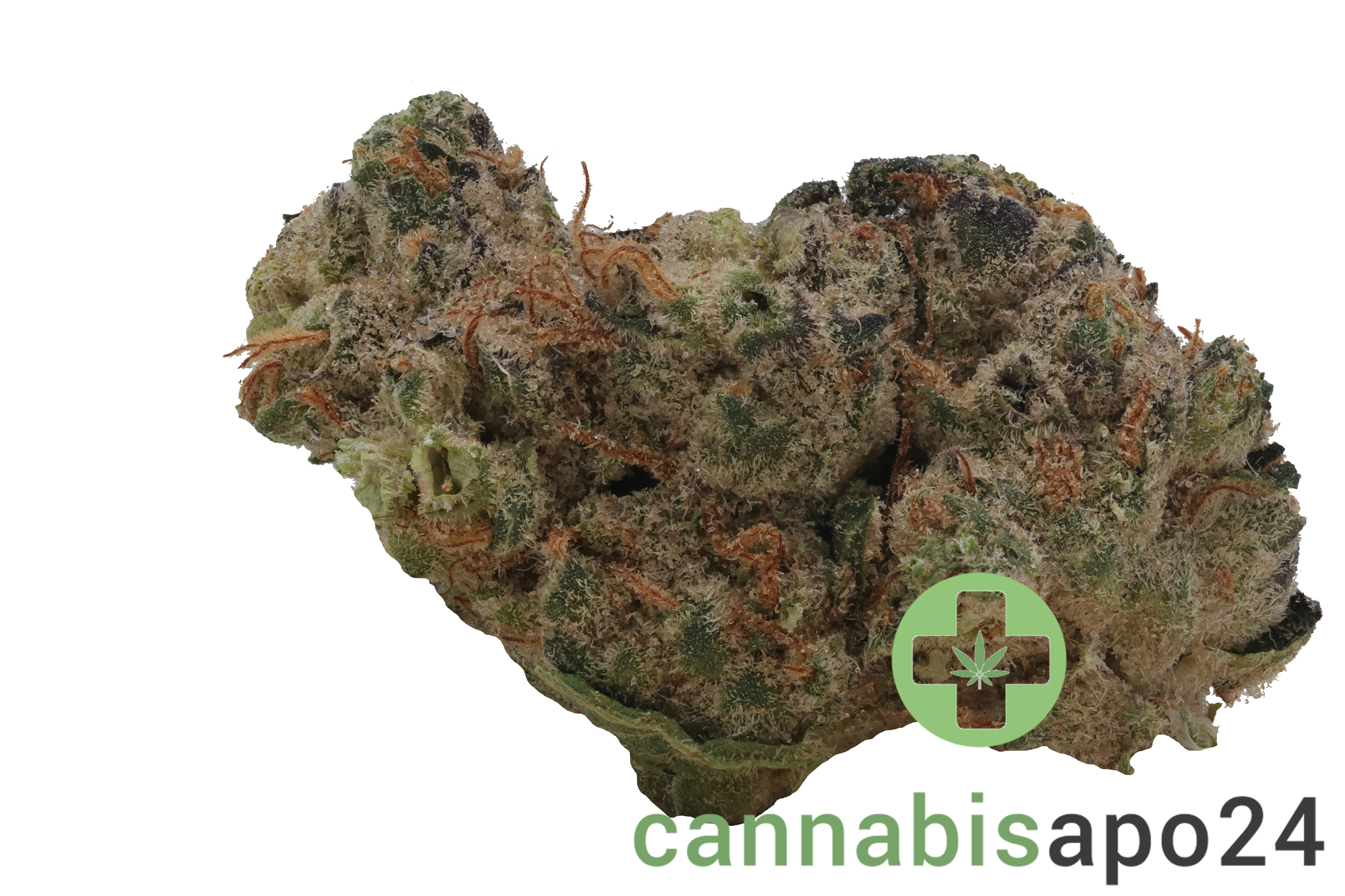 28/1 Nice GSC Girl Scout Cookies
