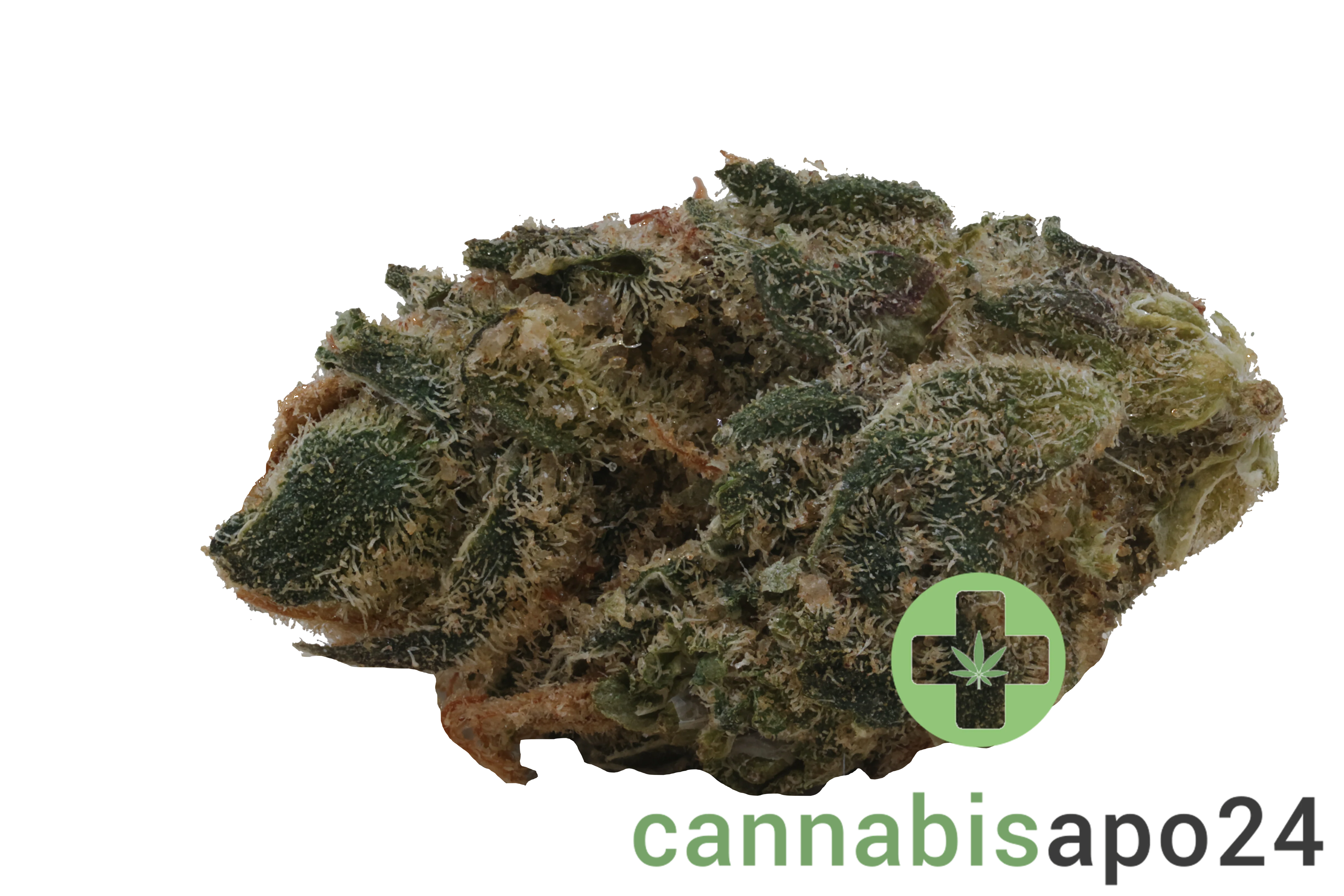 30/1 Amici SLH Super Lemon Haze
