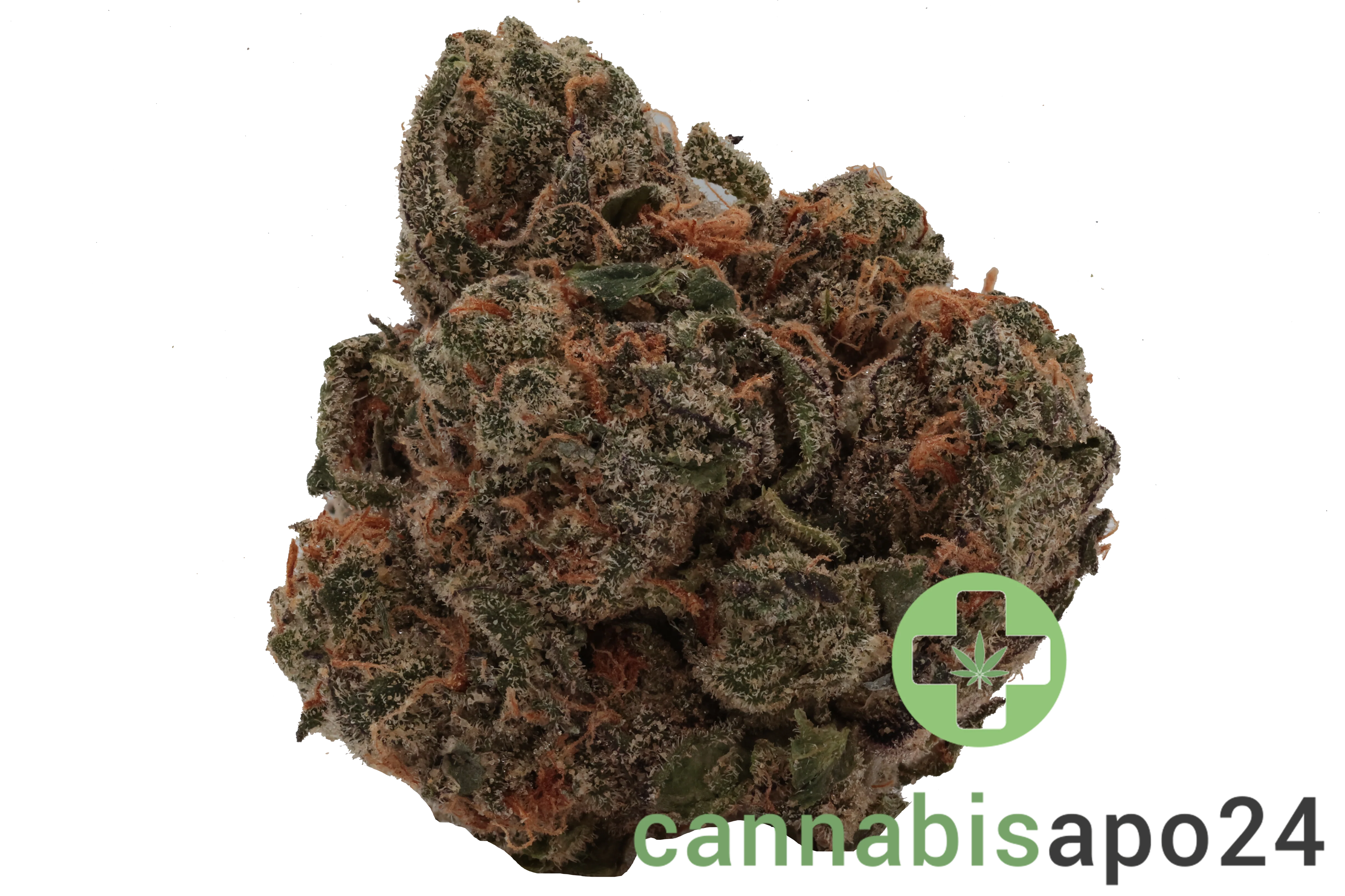 420 Compound 30/1 CA GAP Gastro Pop