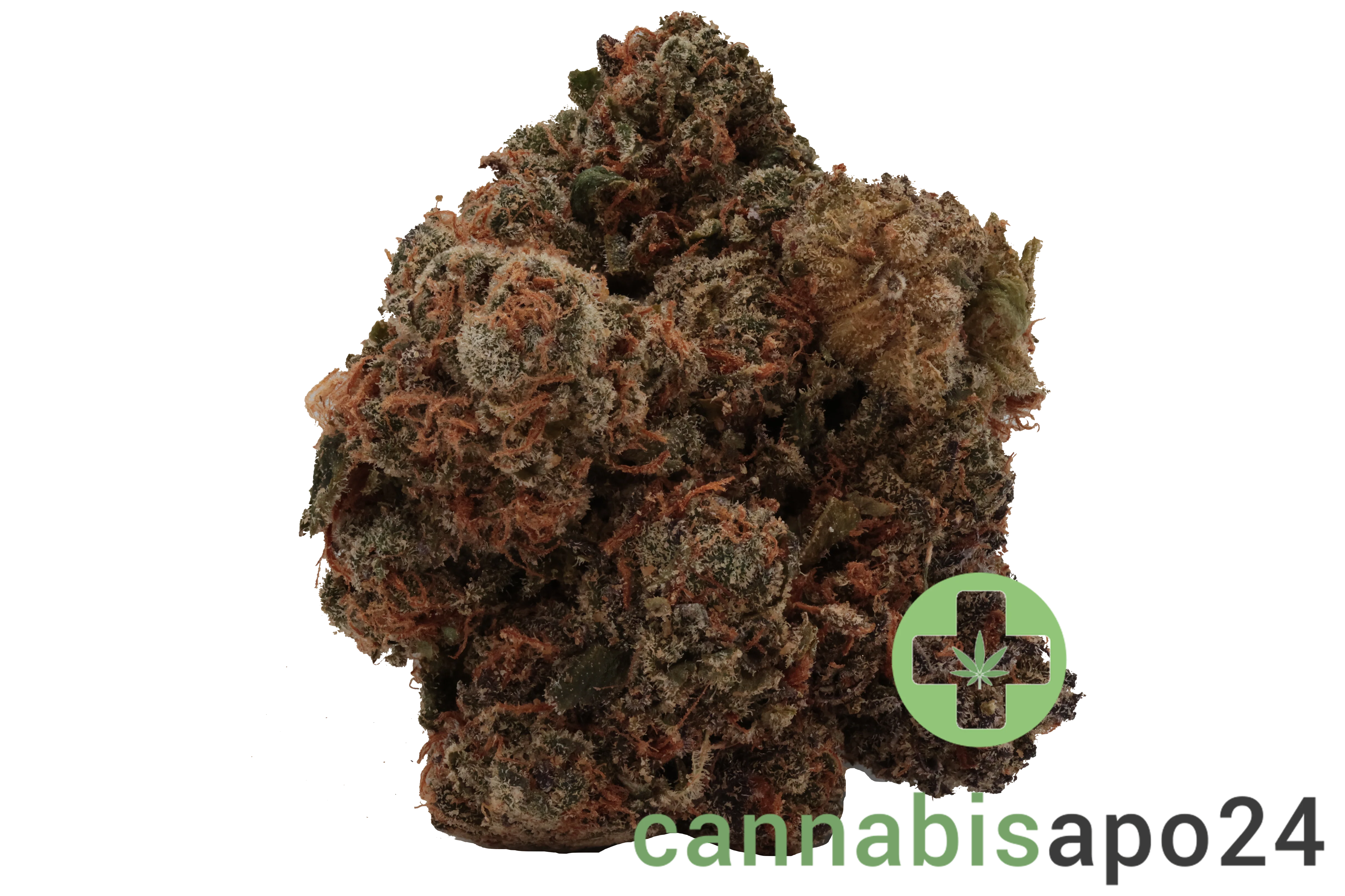 420 Compound 33/1 CA GAP Gastro Pop