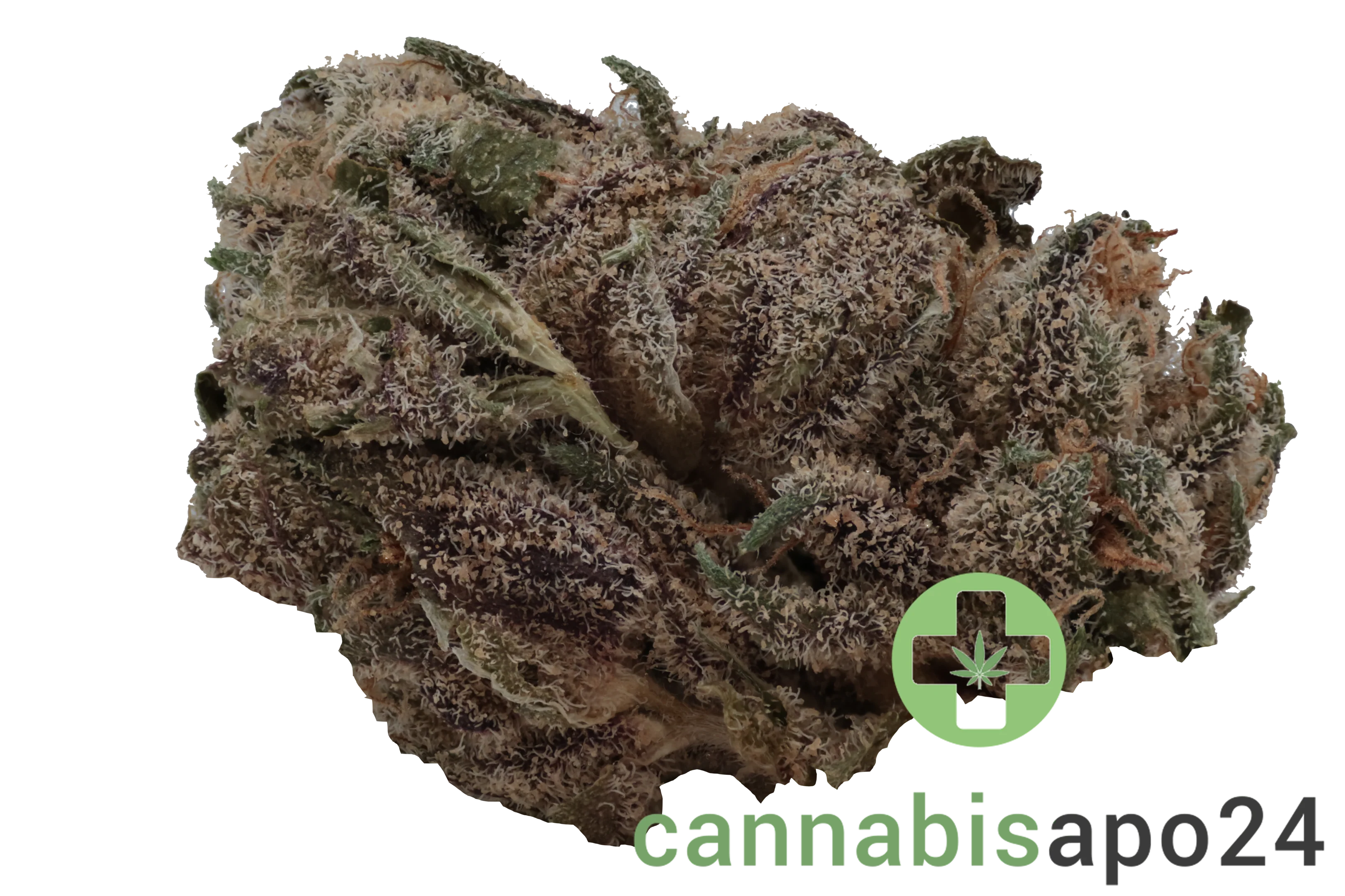 420 Evolution 16/1 CA LCG Lemon Cherry Gelato