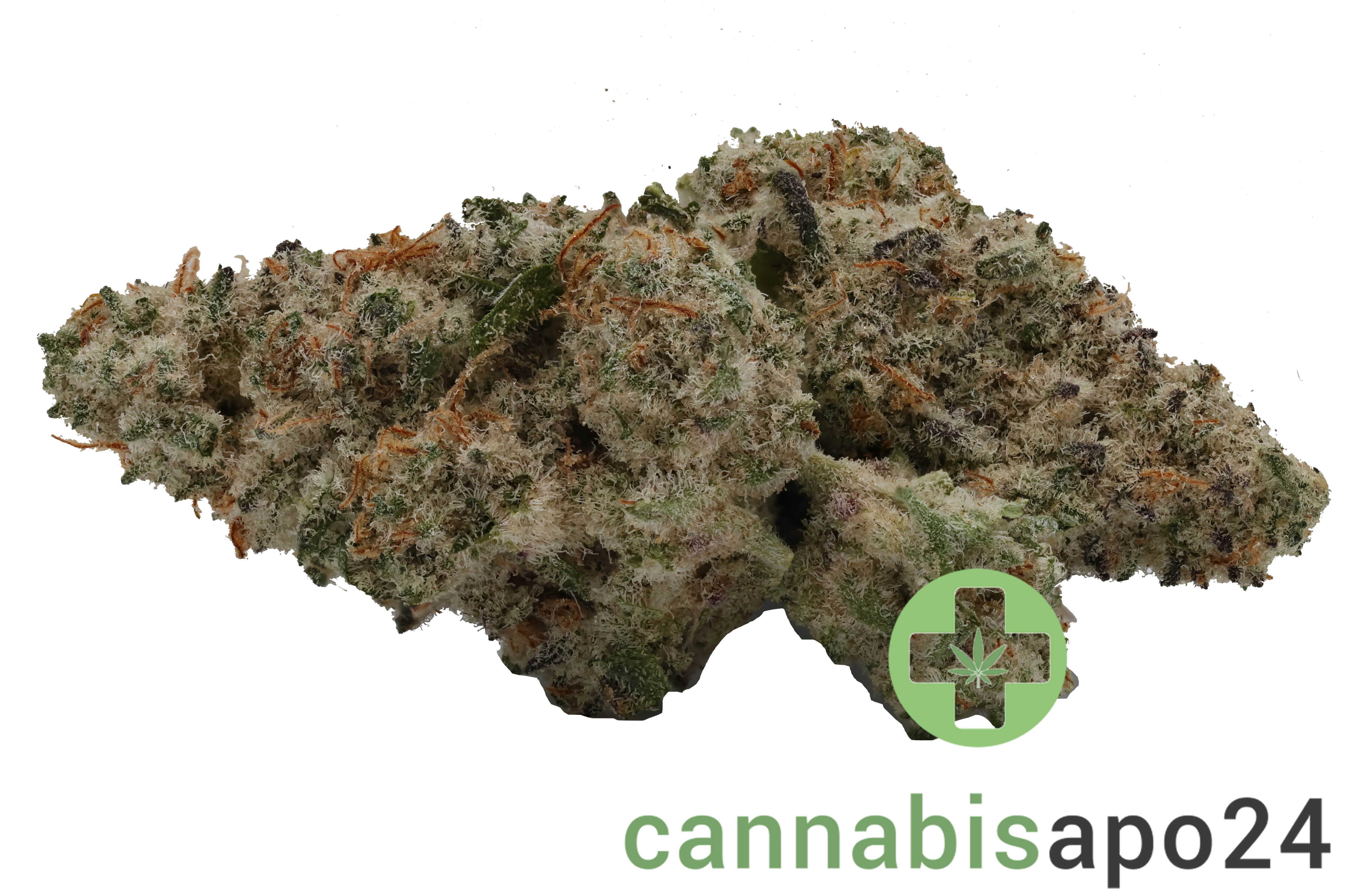 420 Evolution 22/1 CA Mac 1