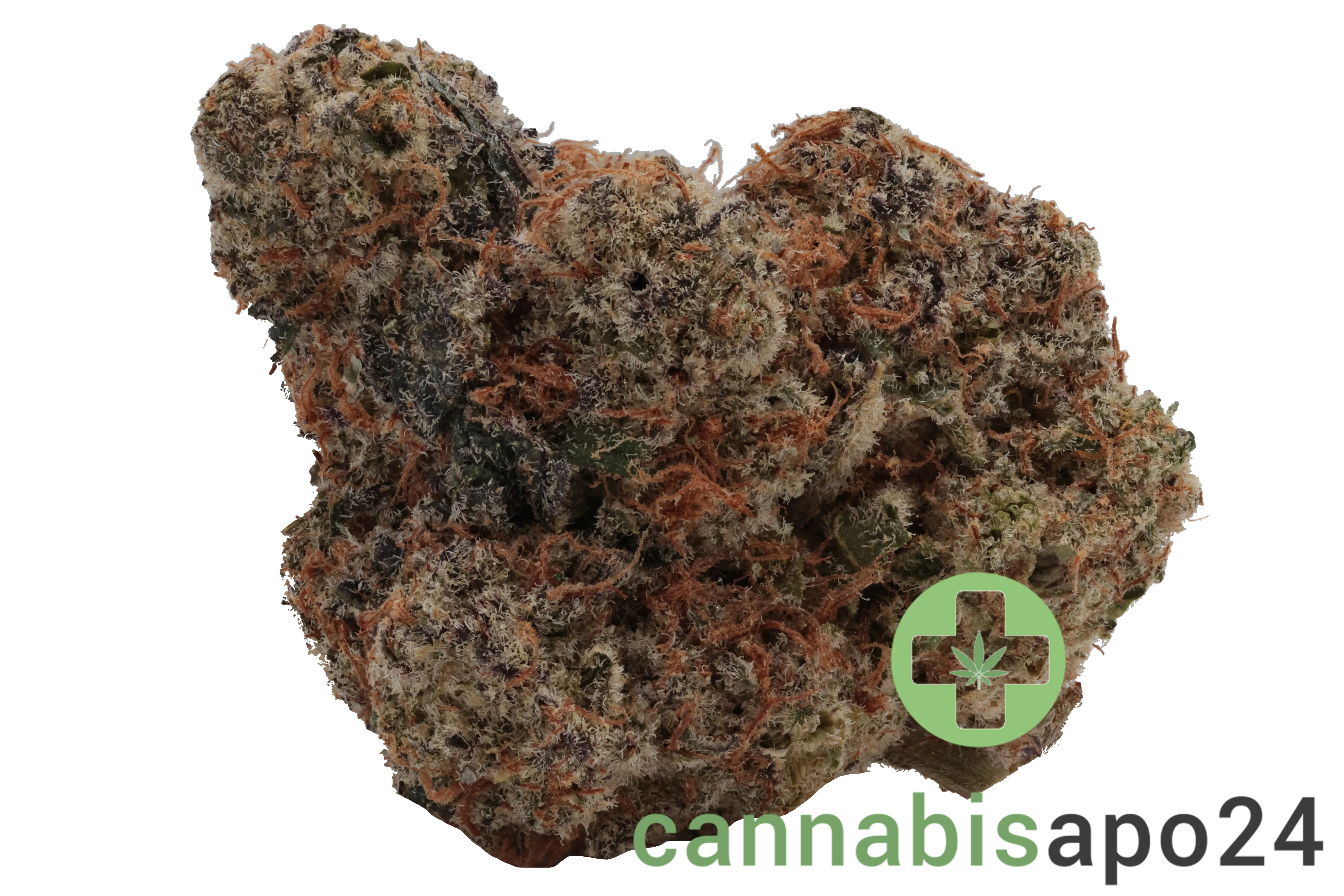 420 Evolution 22/1 CA MMI Miracle Mints