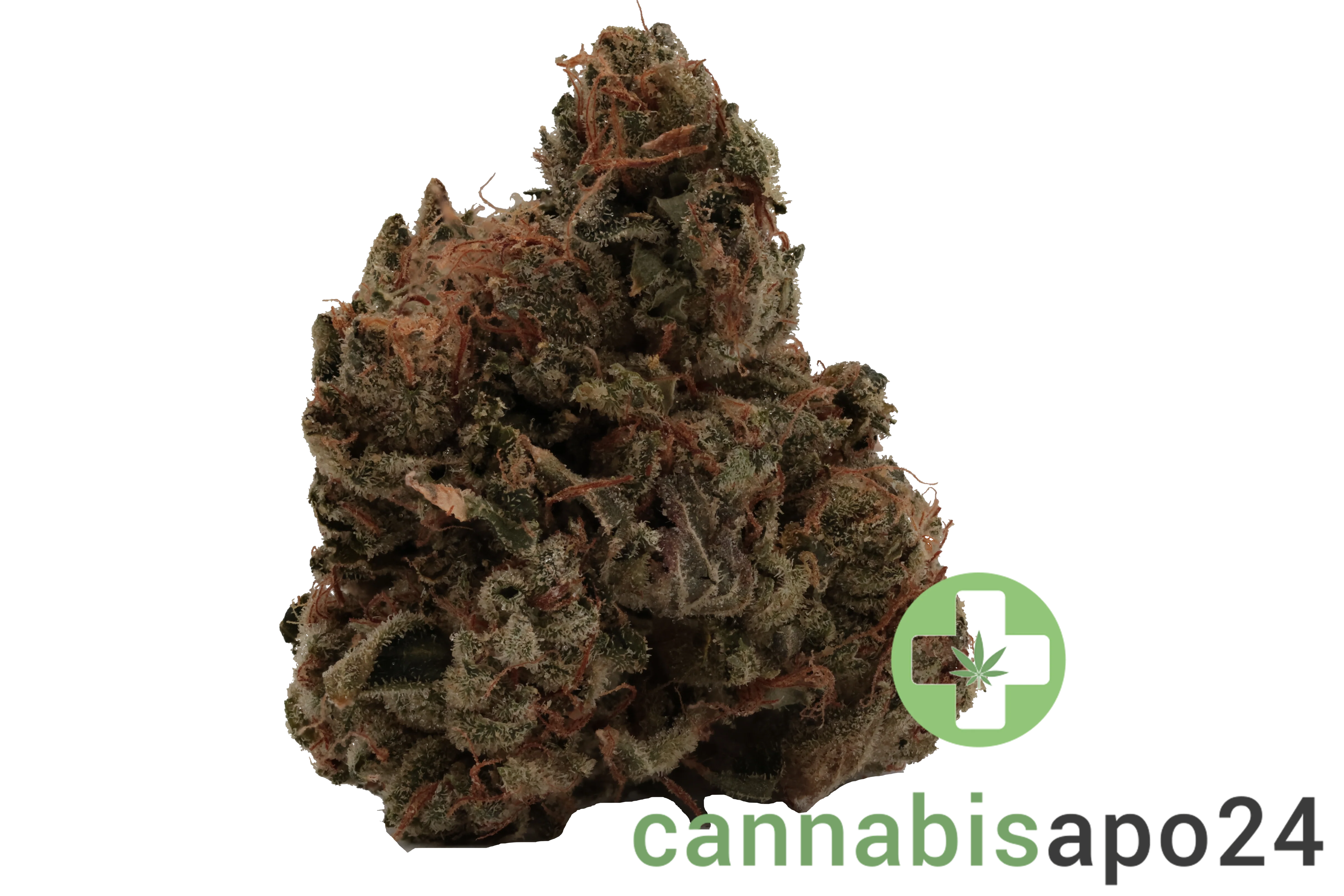 420 Evolution 25/1 CA BUL