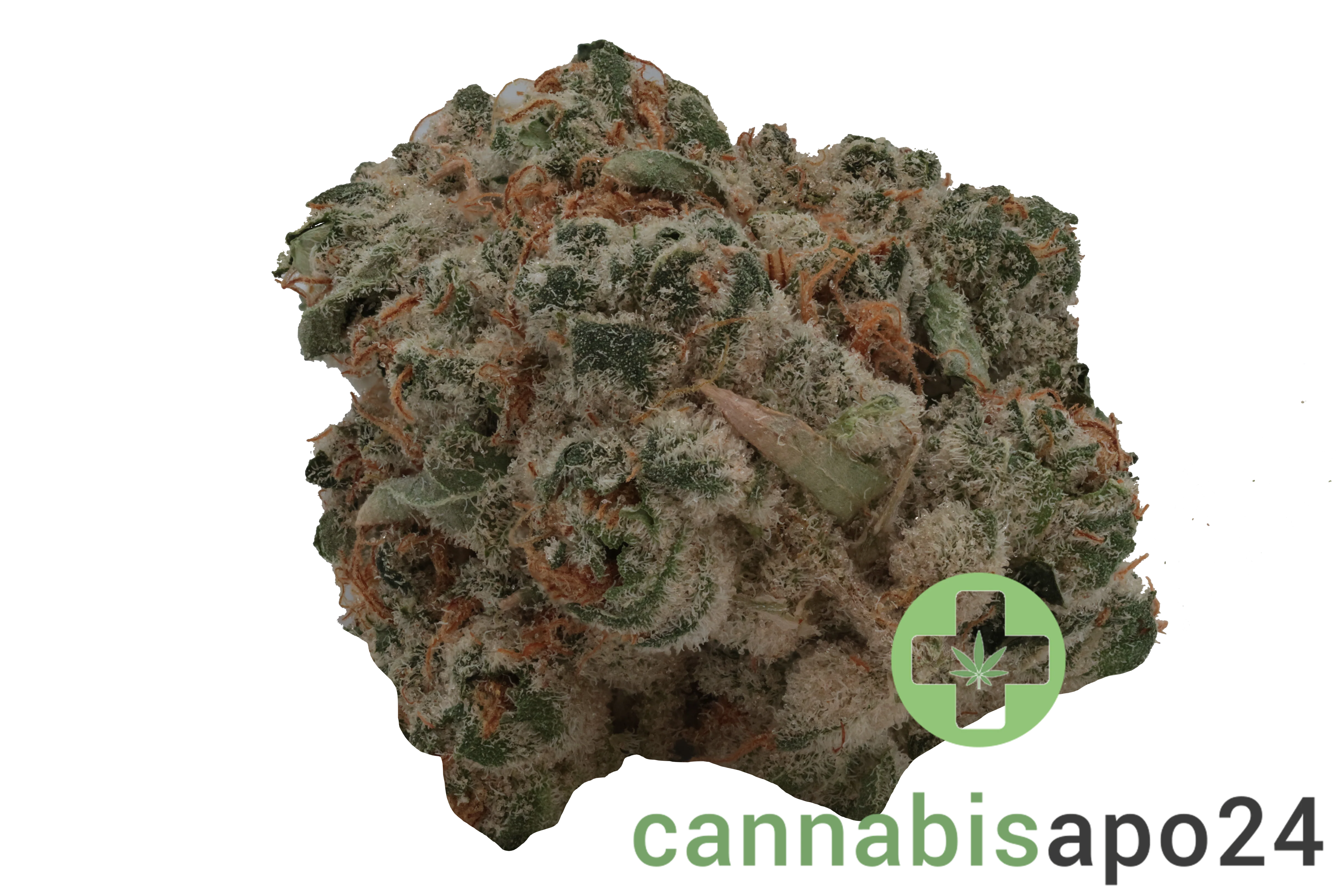 420 Evolution 25/1 CA PCH Peach Chementine