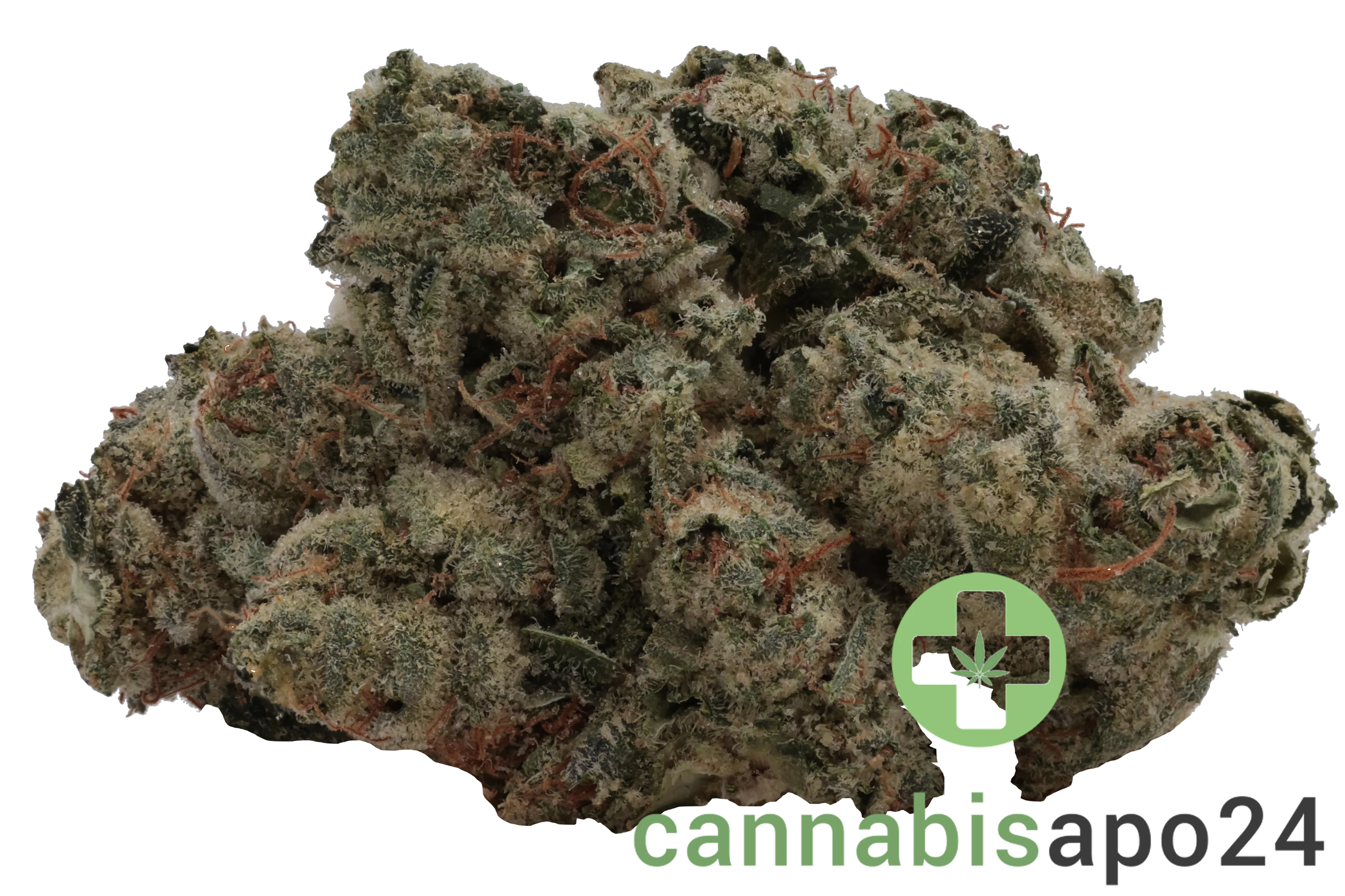 420 Evolution 25/1 CA STR - Star Struck