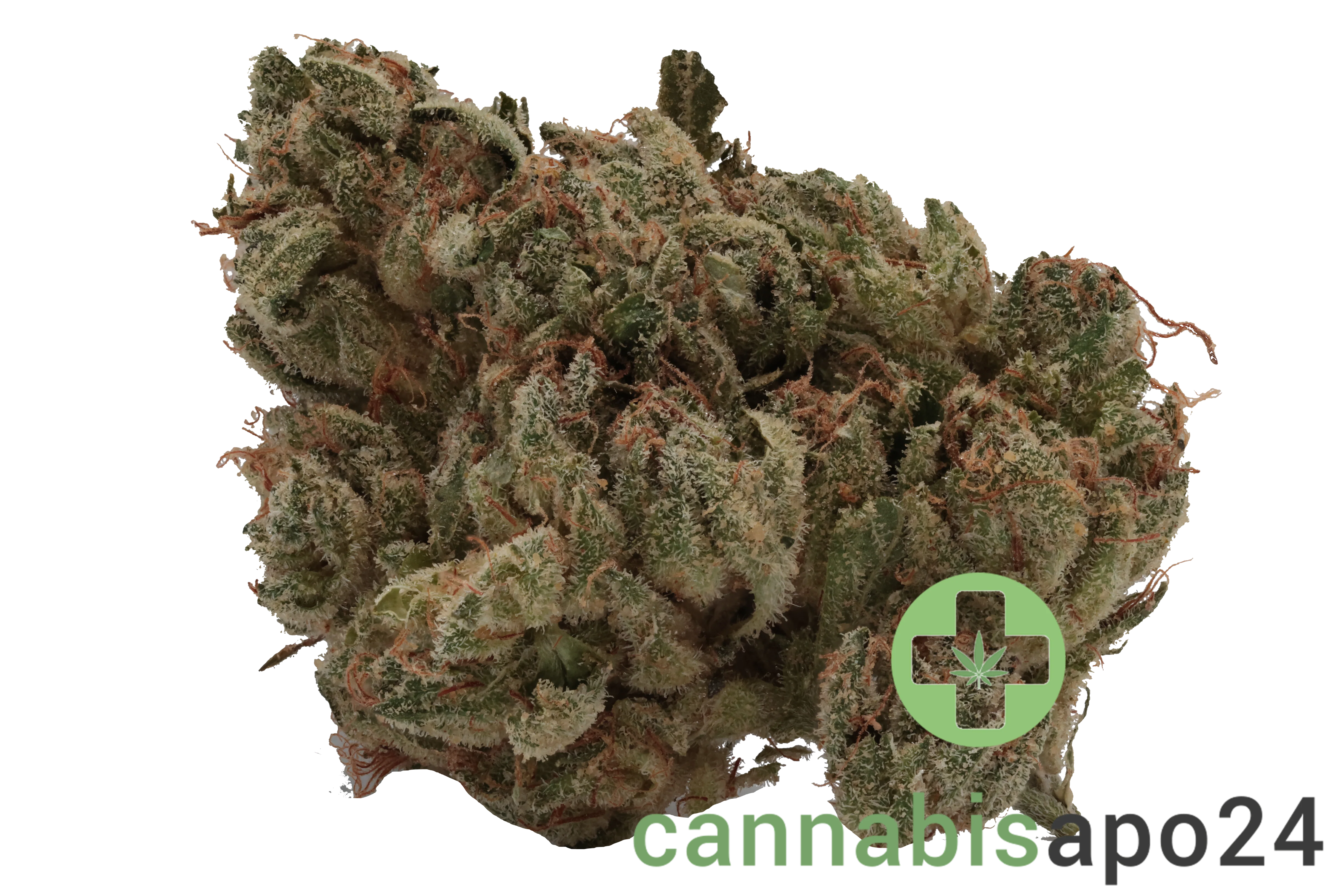 420 Evolution 27/1 CA BUL Bucket List