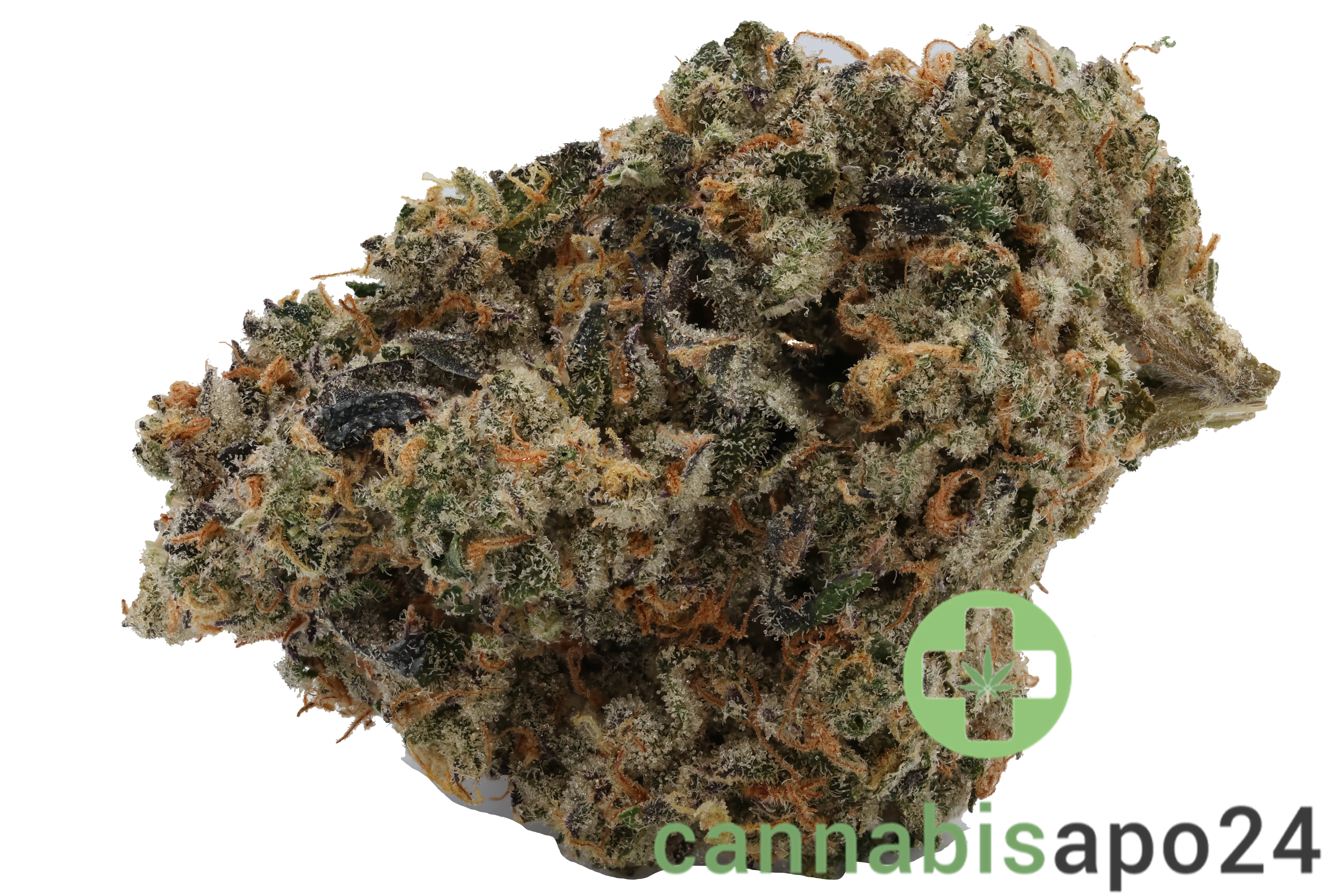 420 Evolution 27/1 CA FLM