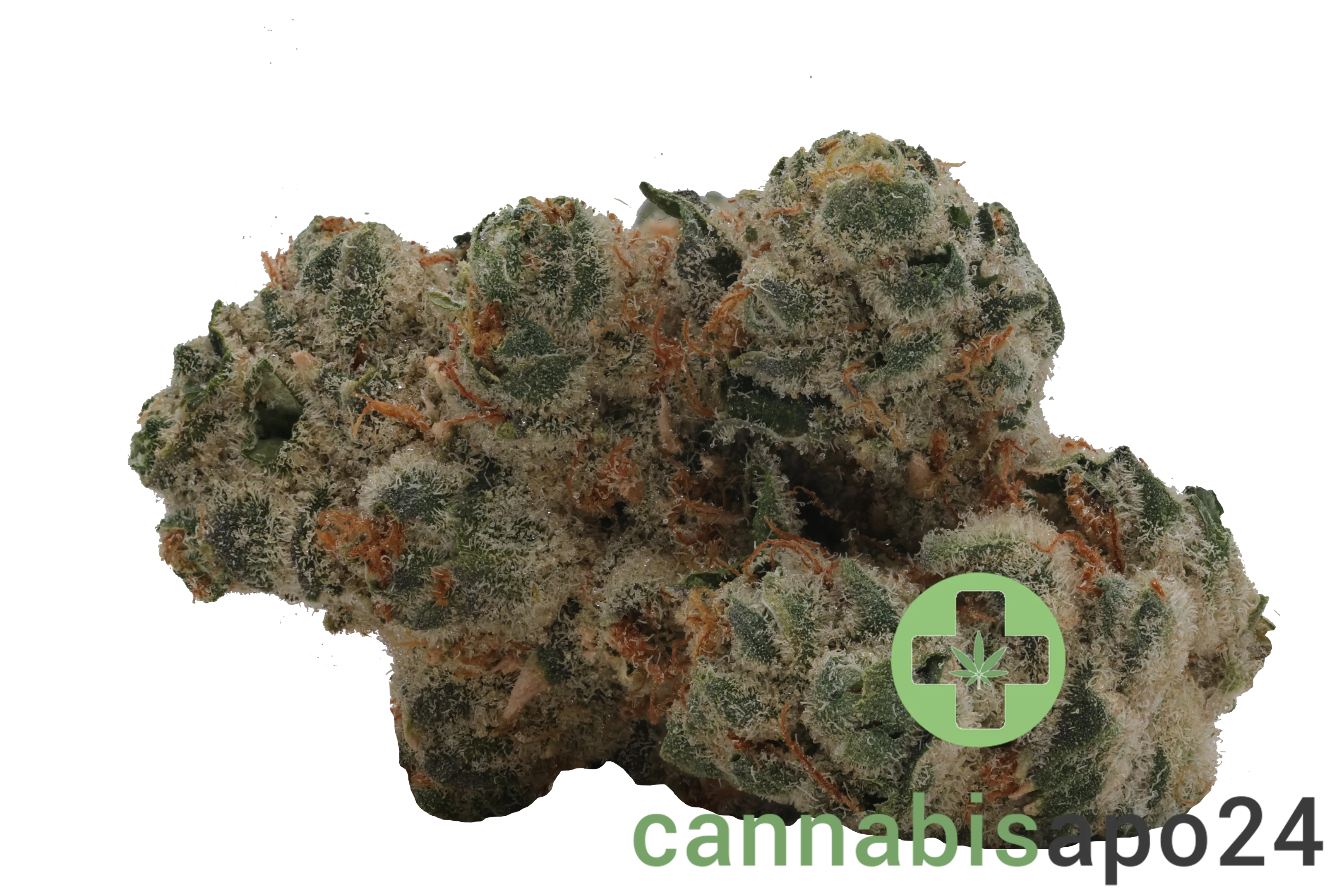 420 Evolution 27/1 CA PCH Peach Chementine