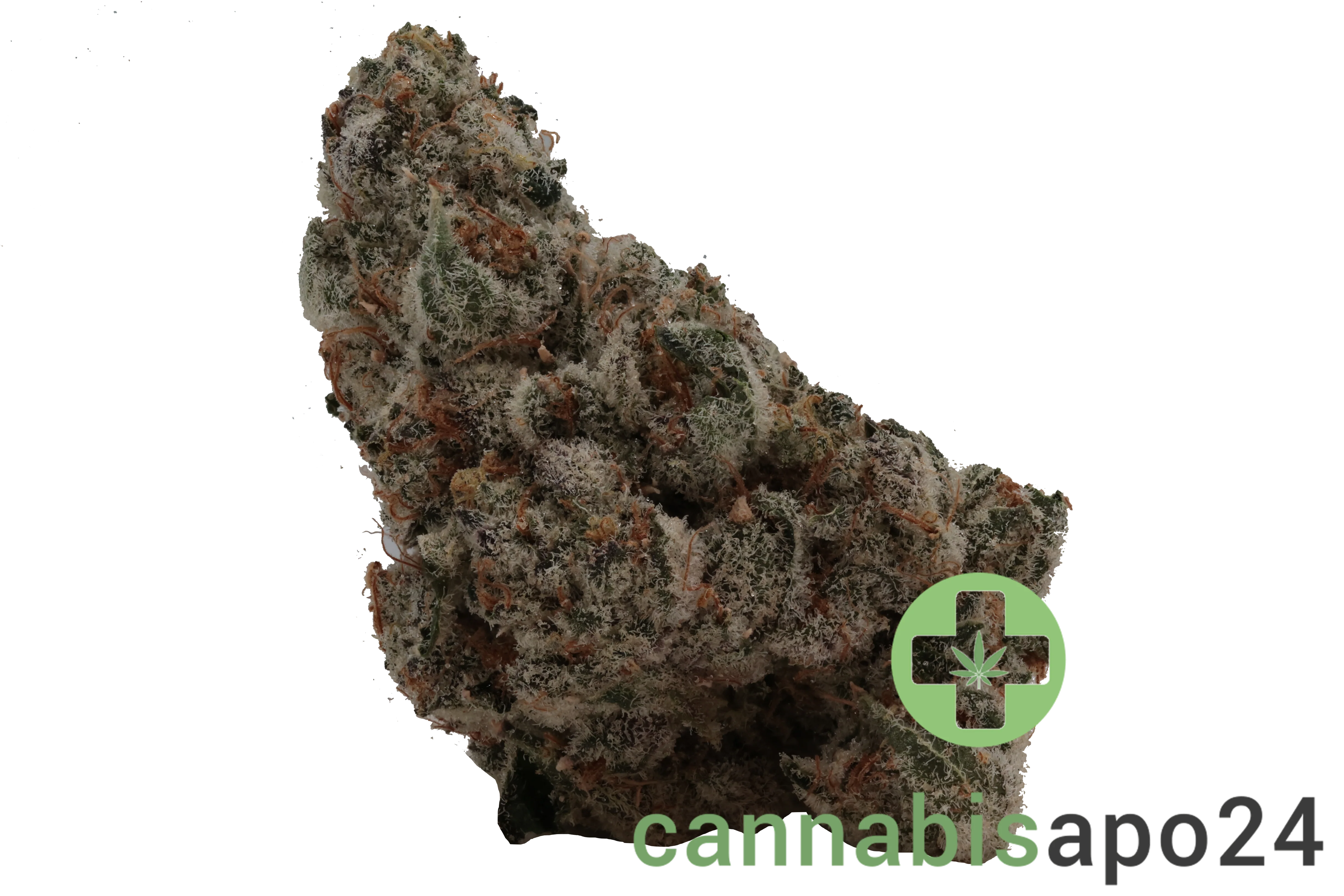 420 Evolution 27/1 CA WES