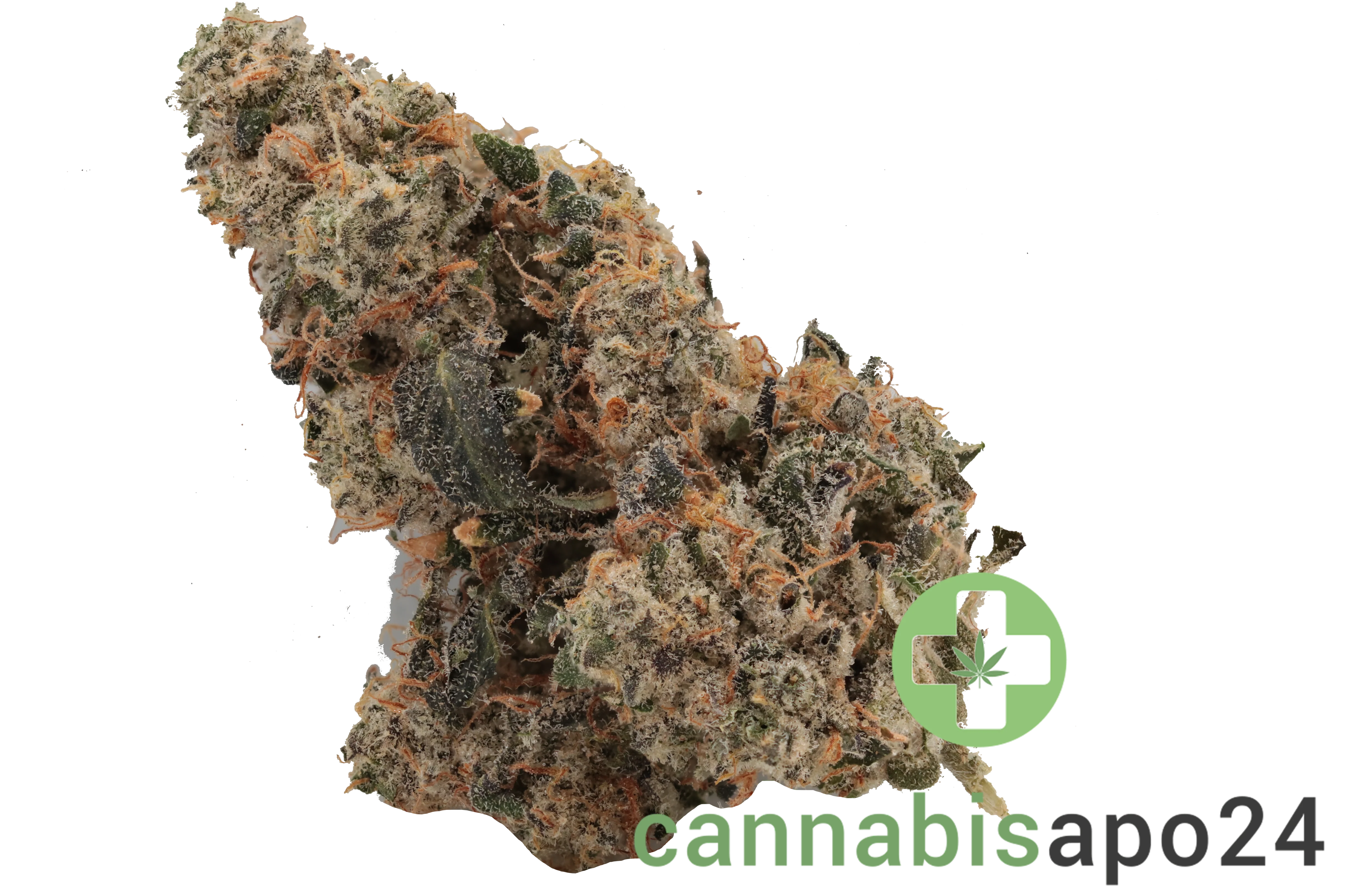 420 Evolution 30/1 CA ICC