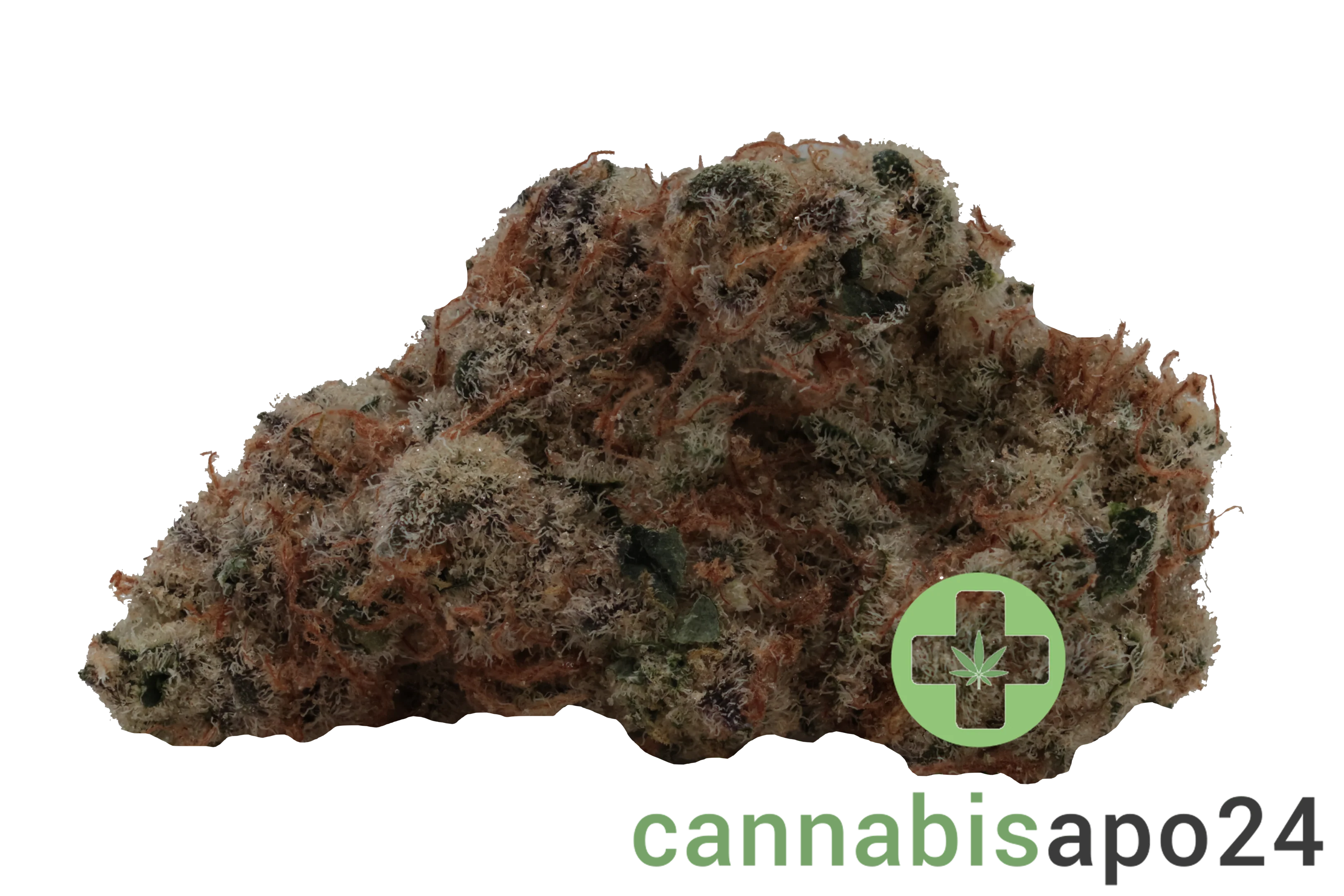 420 Evolution 30/1 CA MSP Masterpiece
