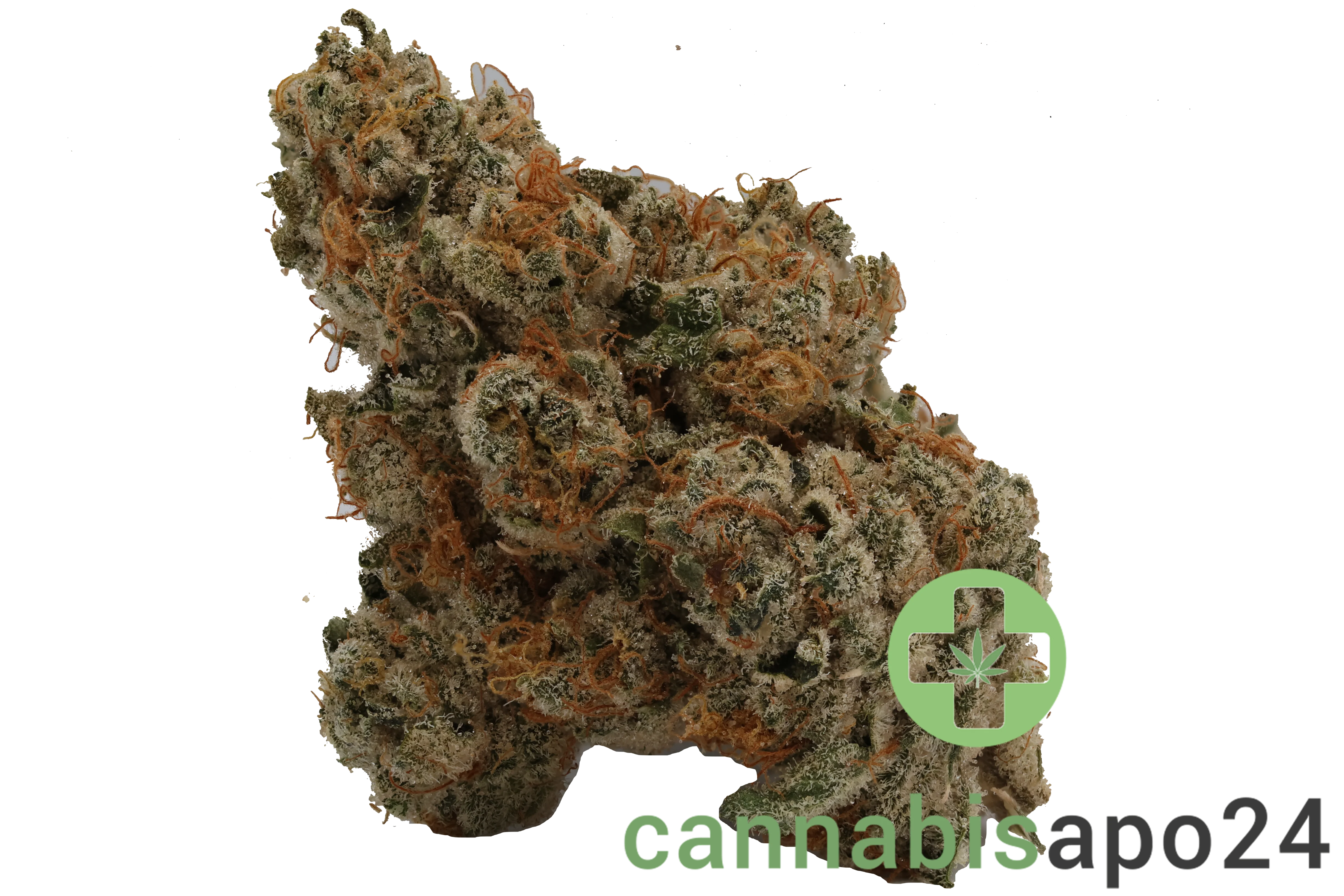 420 Evolution 30/1 CA PCH