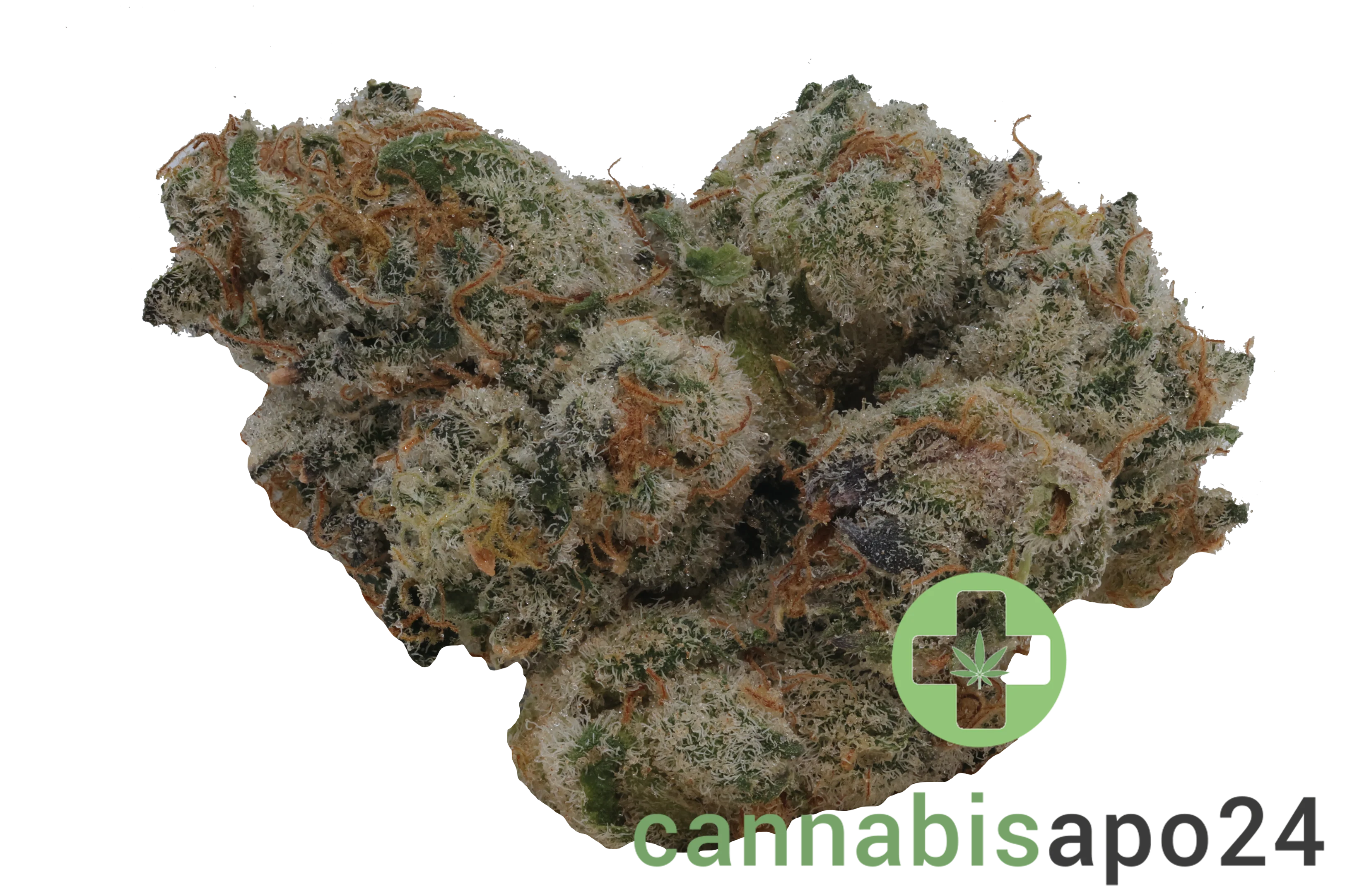 420 Evolution 30/1 CA PLA Platinum Kush