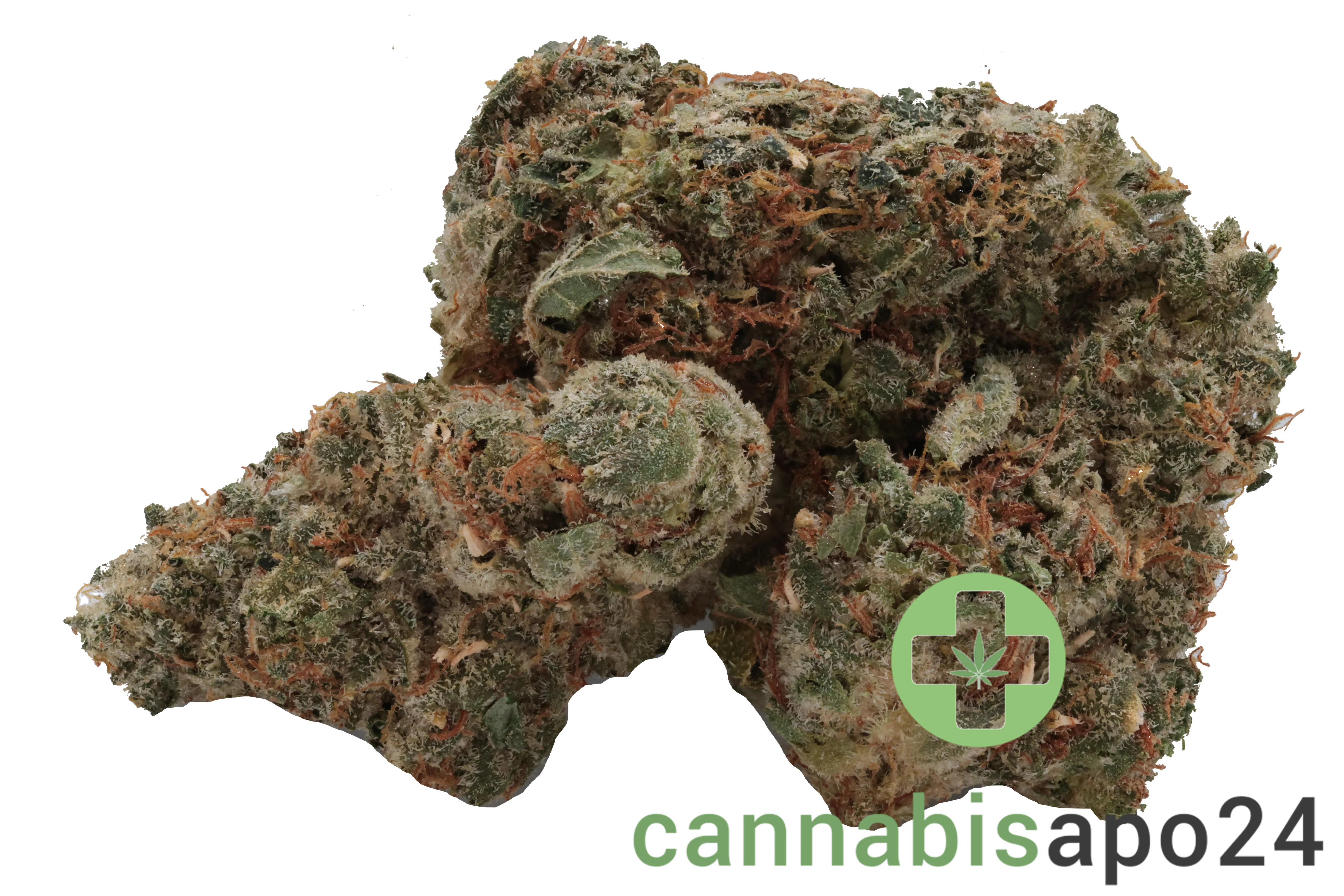 420 Evolution 36/1 CA PCH