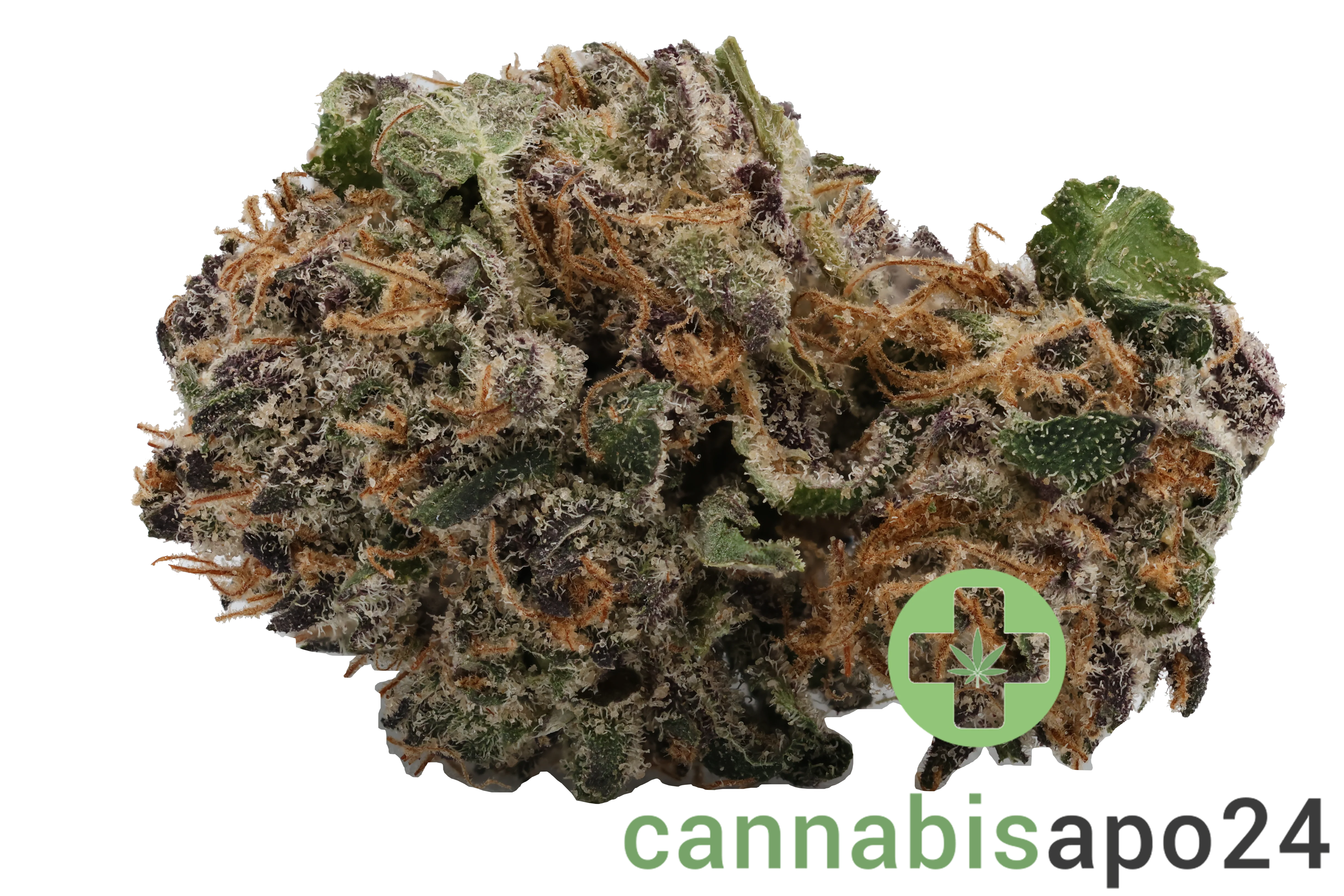 420 Natural 20/1 CA DBB