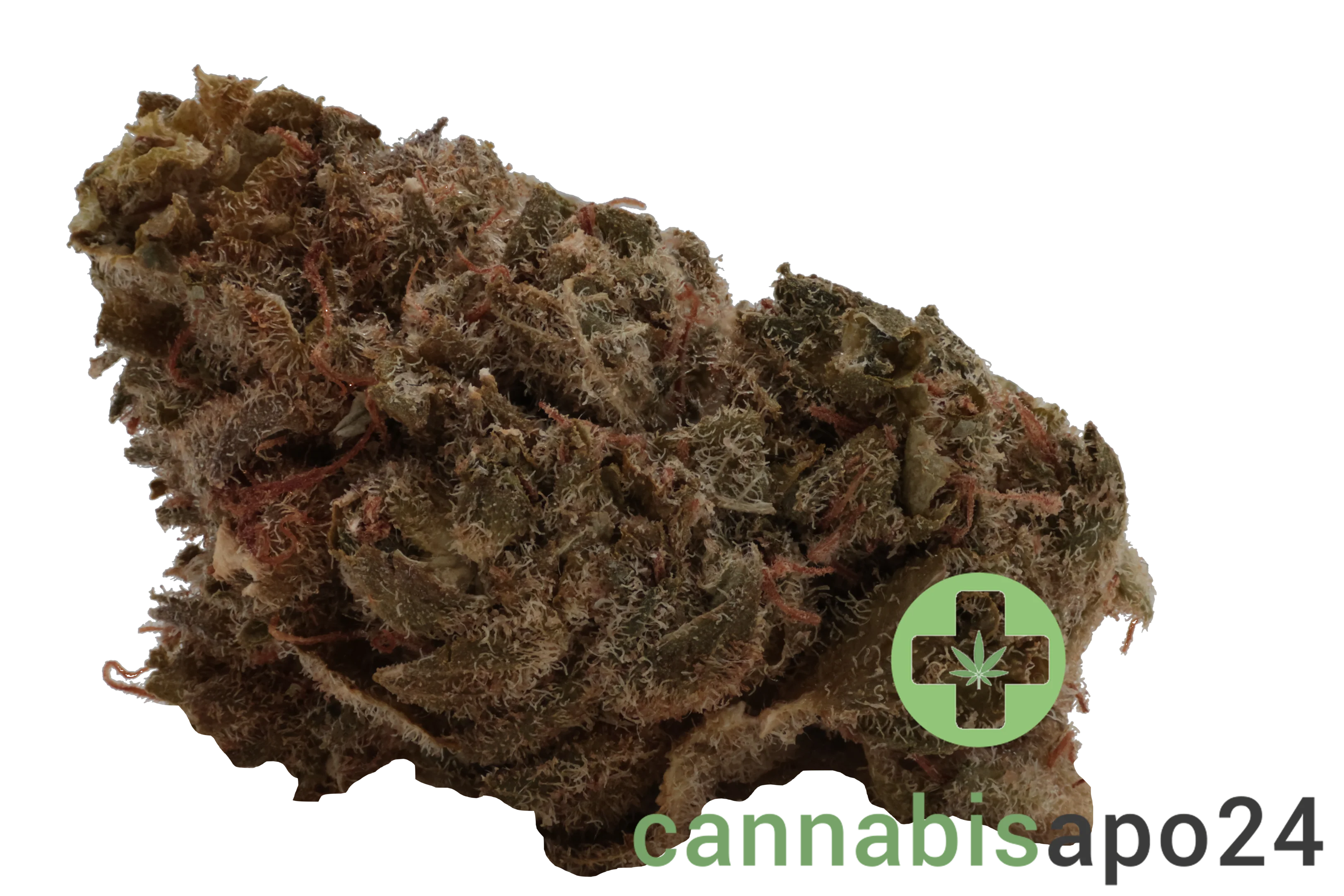 420 Sungrown 20/1 CA ZRP Zour Apple