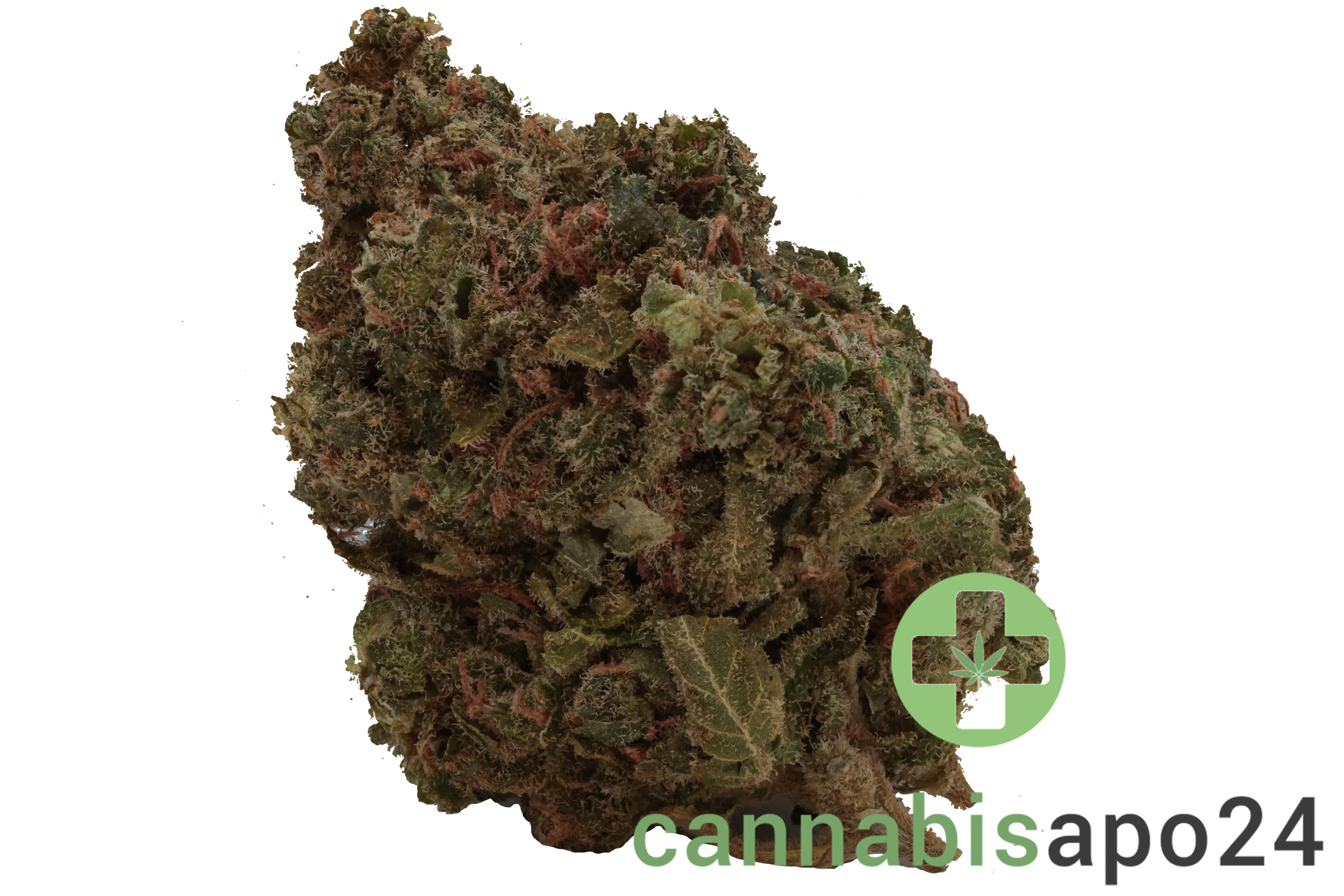 420 Sungrown 22/1 CA ZRP Zour Apple