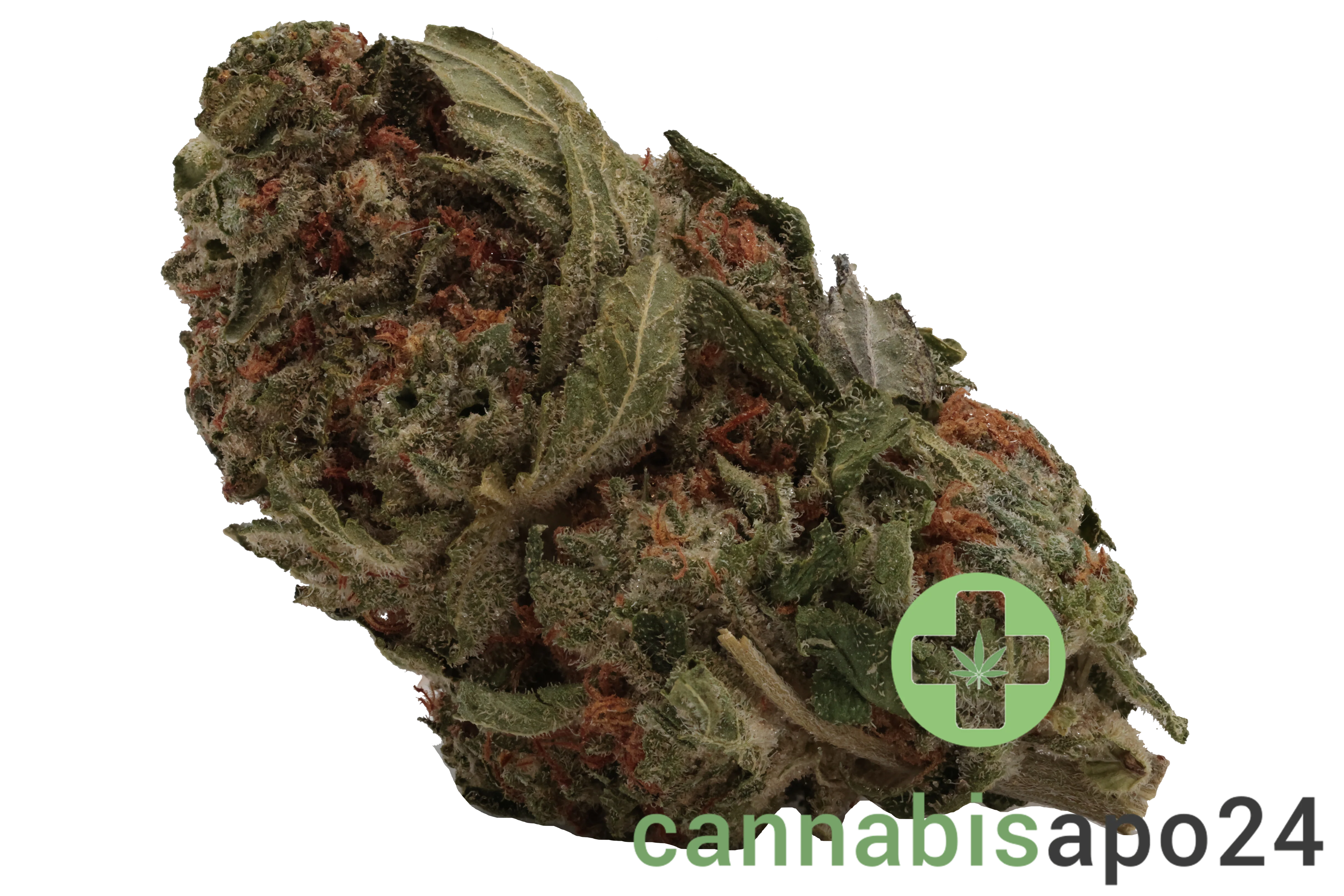 420 SUNGROWN 25/1 CA JEL