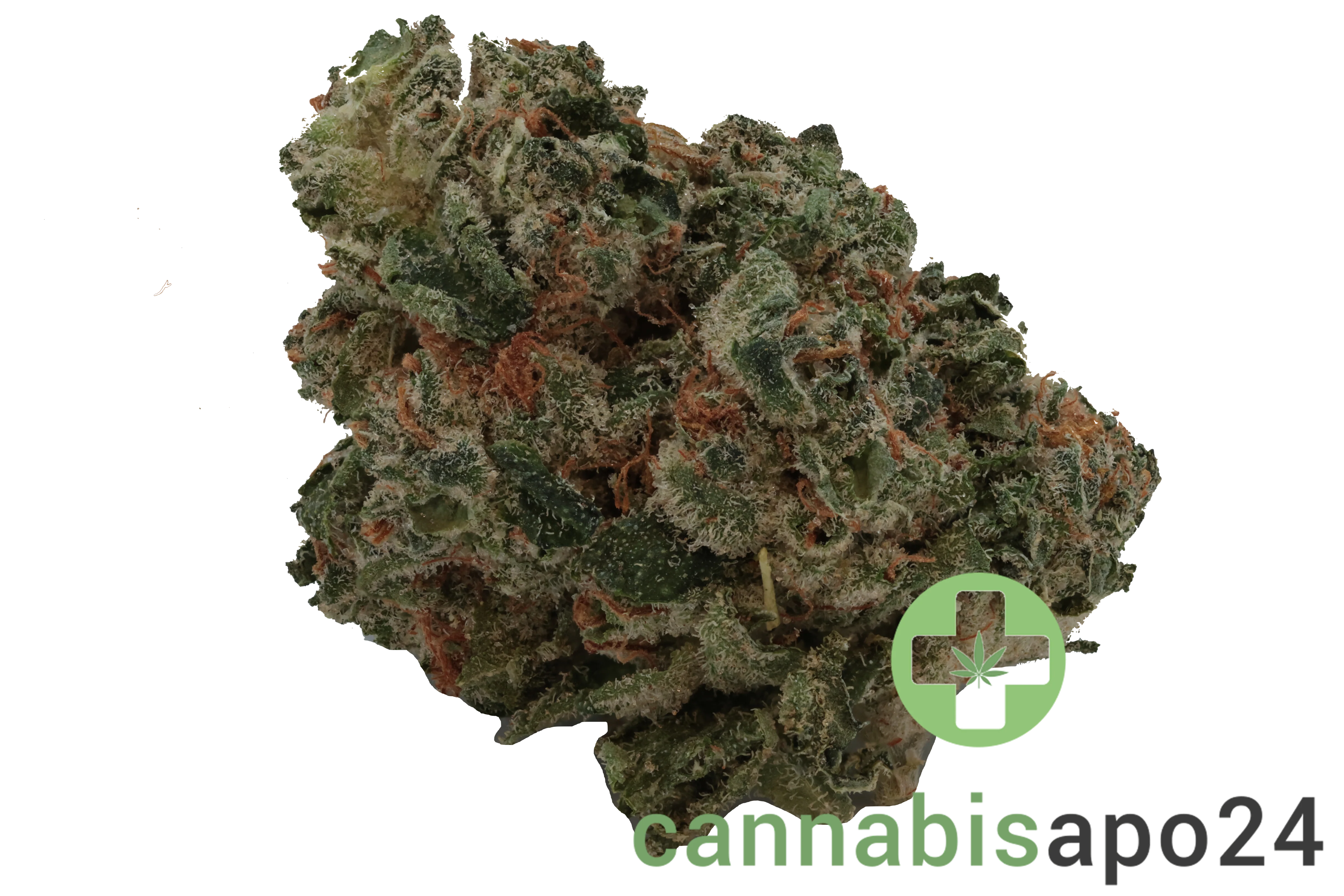 420 Sungrown 27/1 CA LLY Legendary Larry