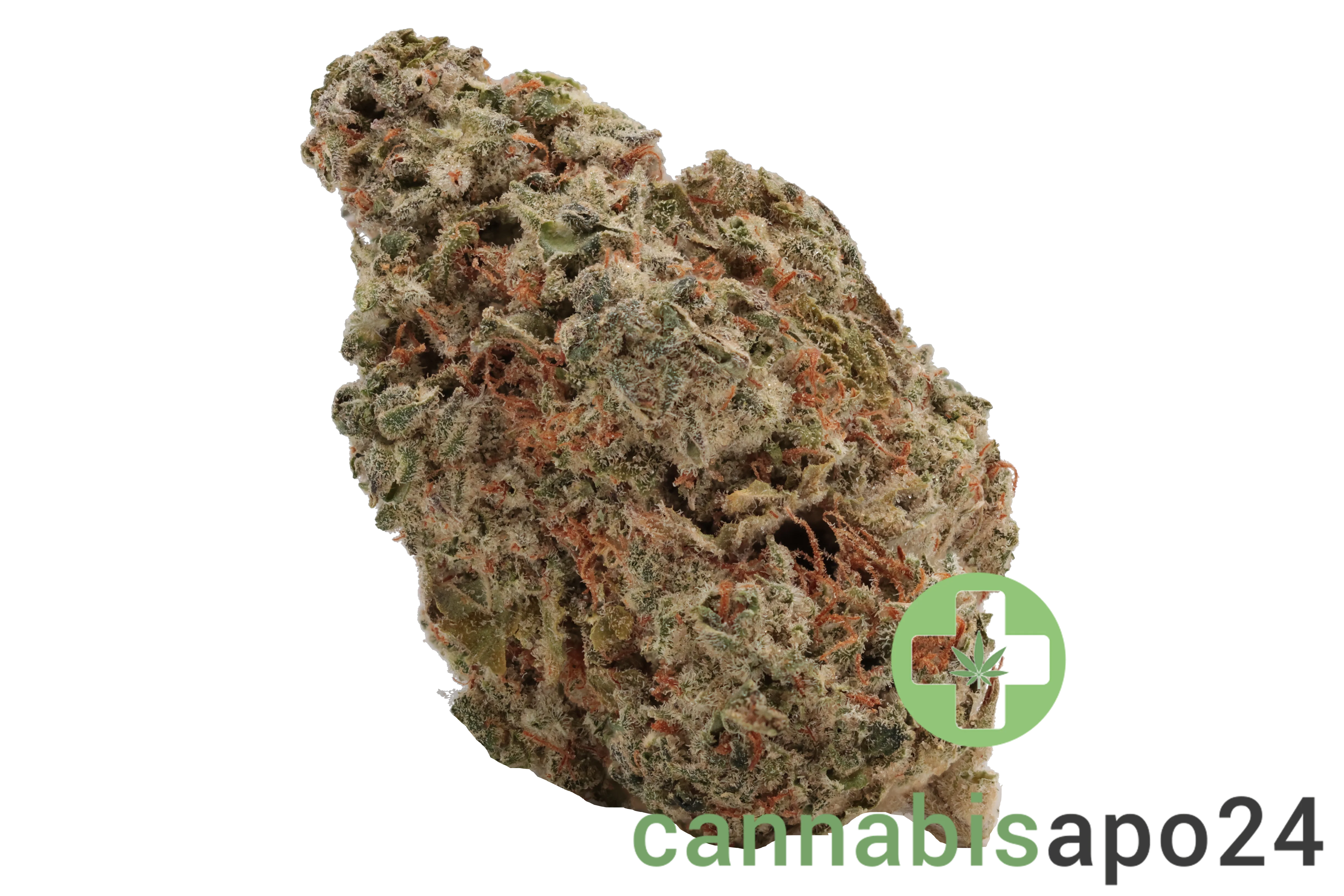 Adrex 24/1 GG4 CAN