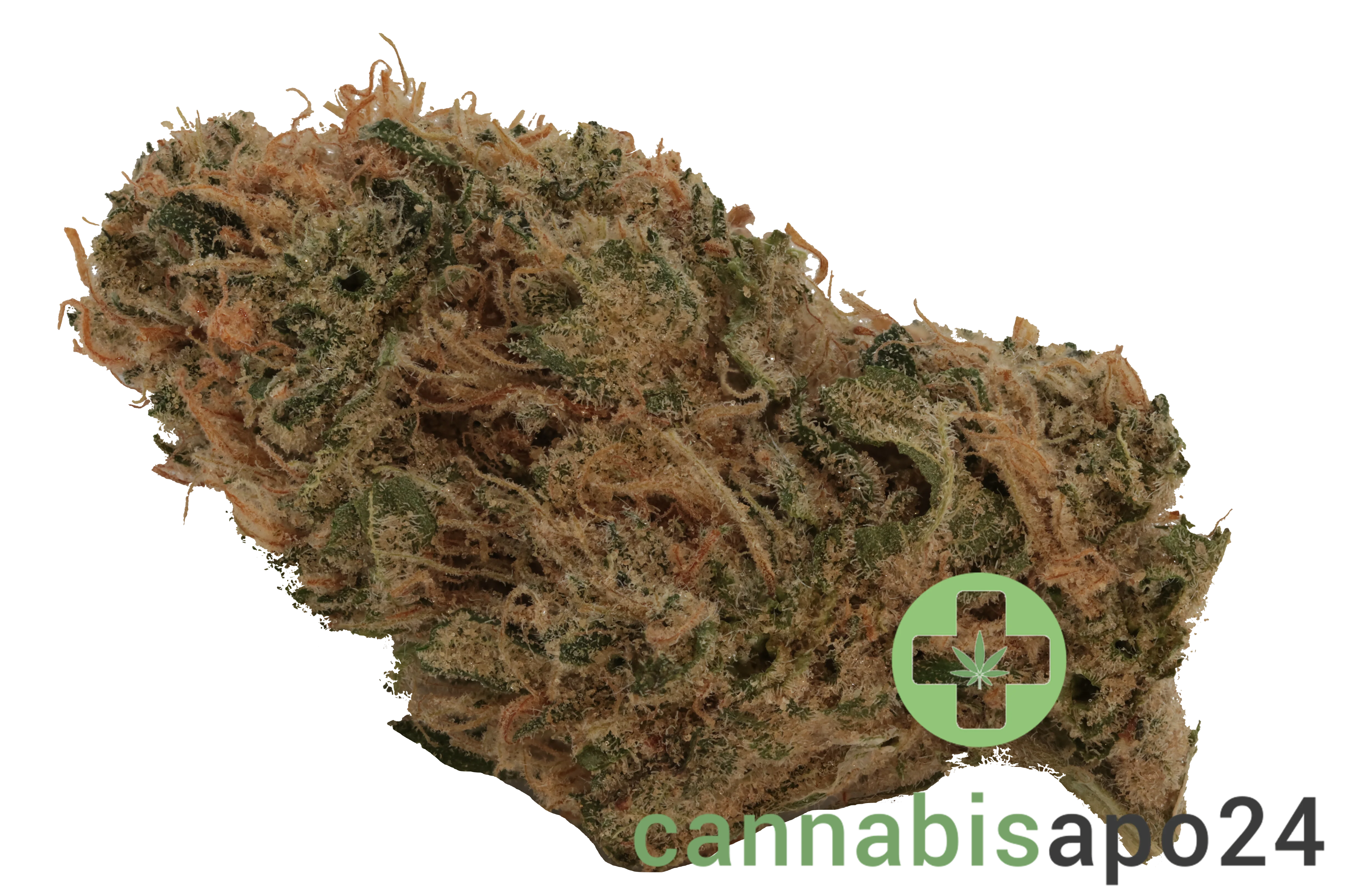 Africann GG Gorilla Glue
