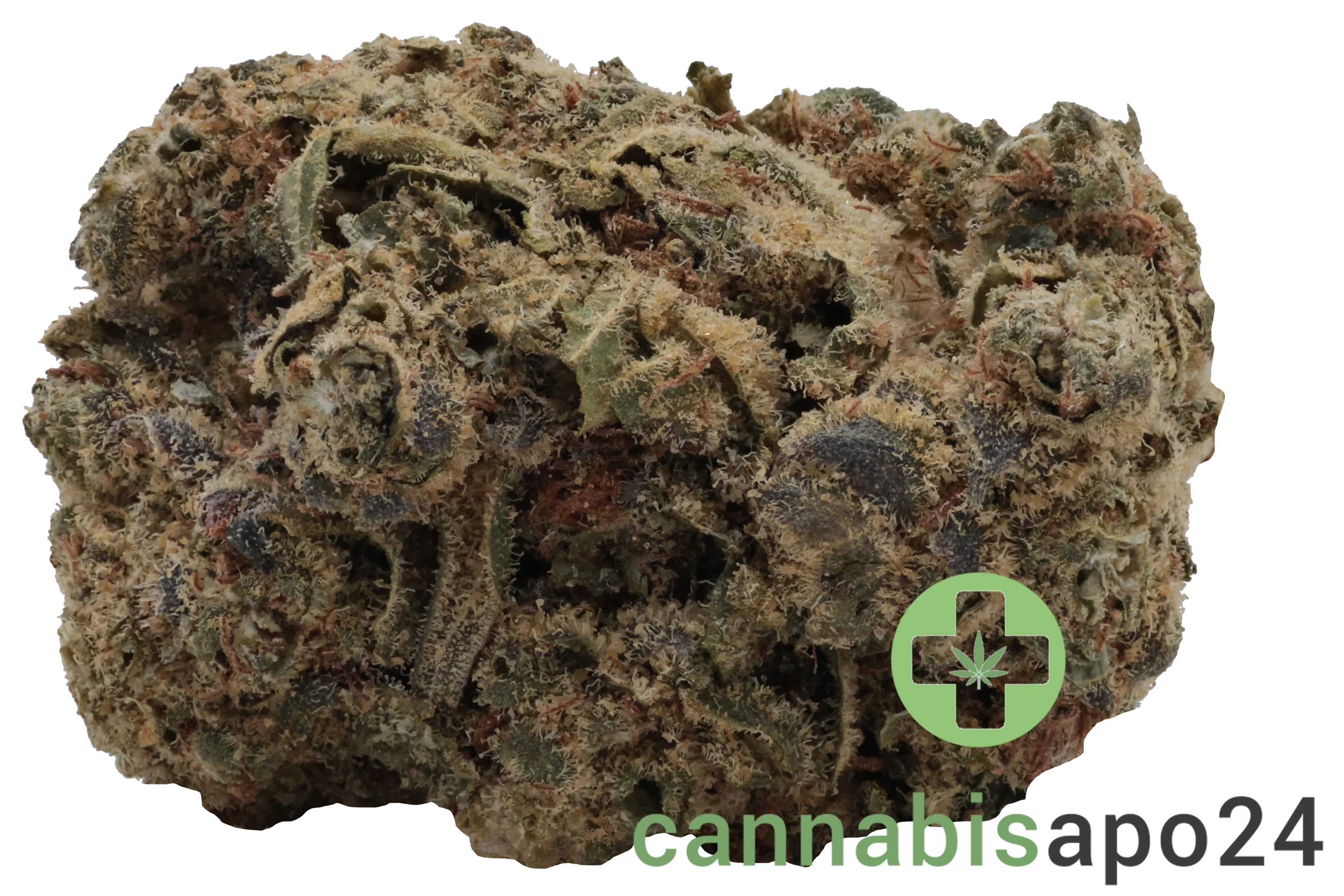 All Nations SF 18/1 Mandarine Cookies