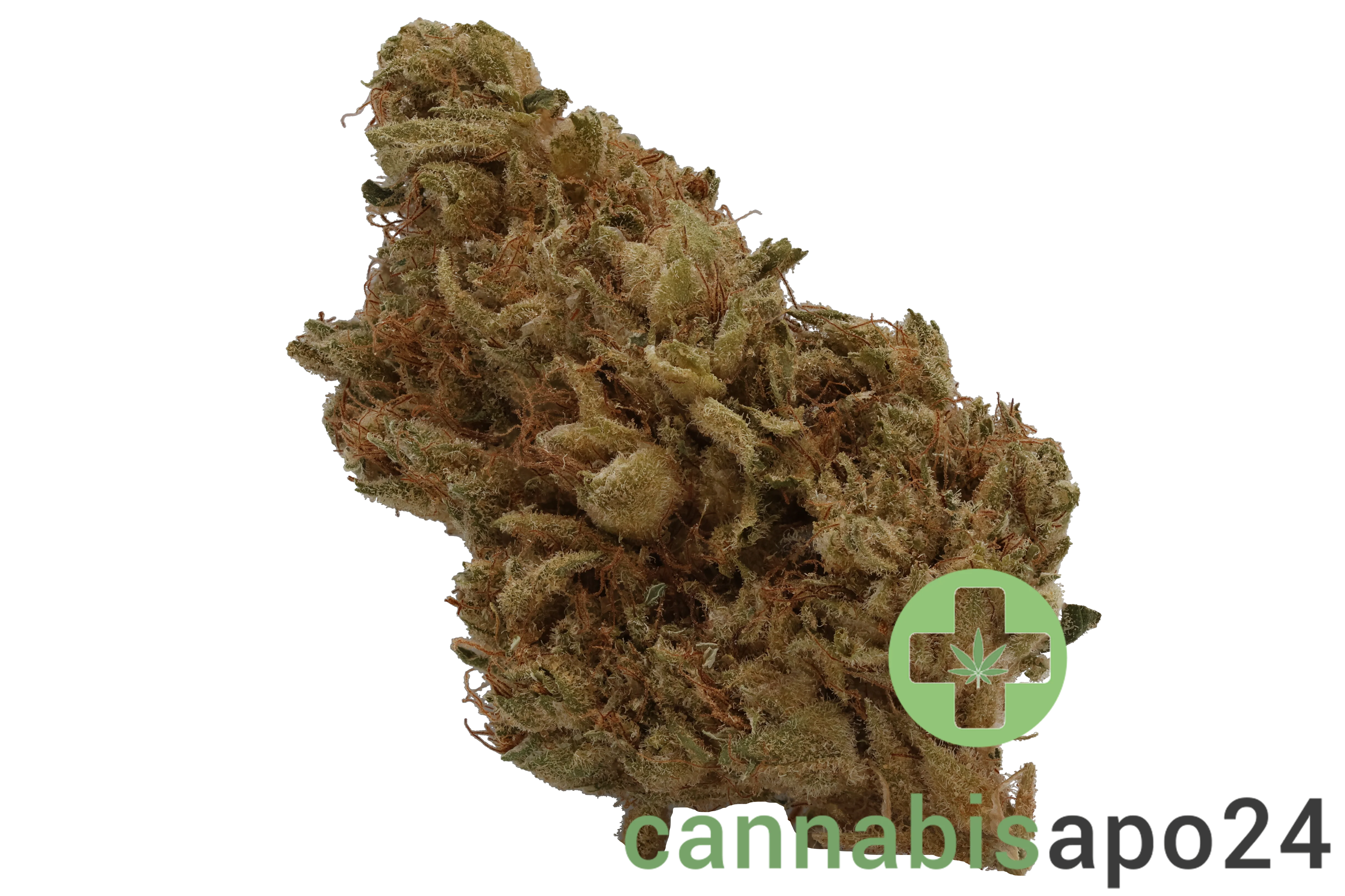 Alpinolin 22/1