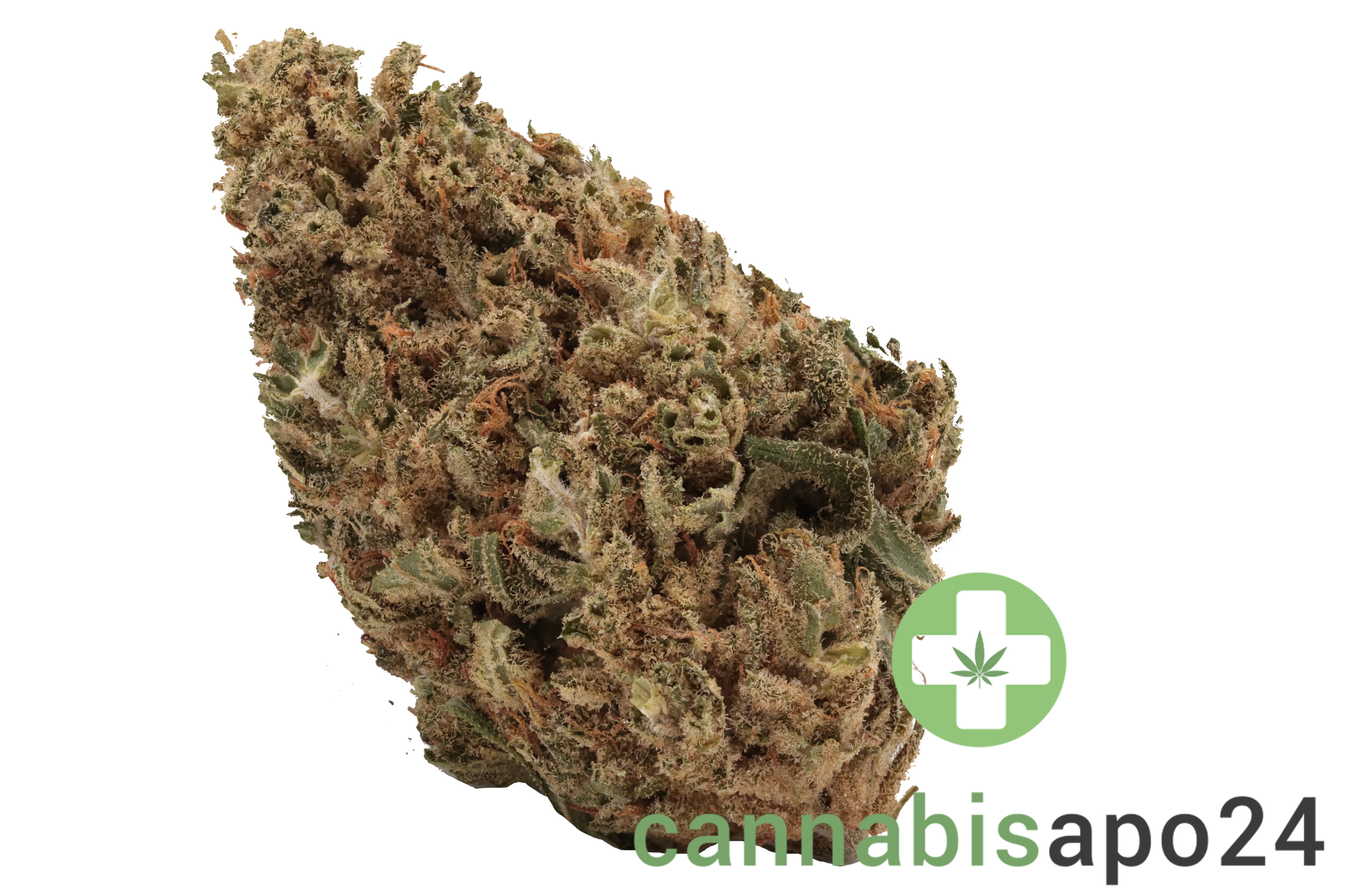 AVAAY 12/8 CAN - Cannatonic