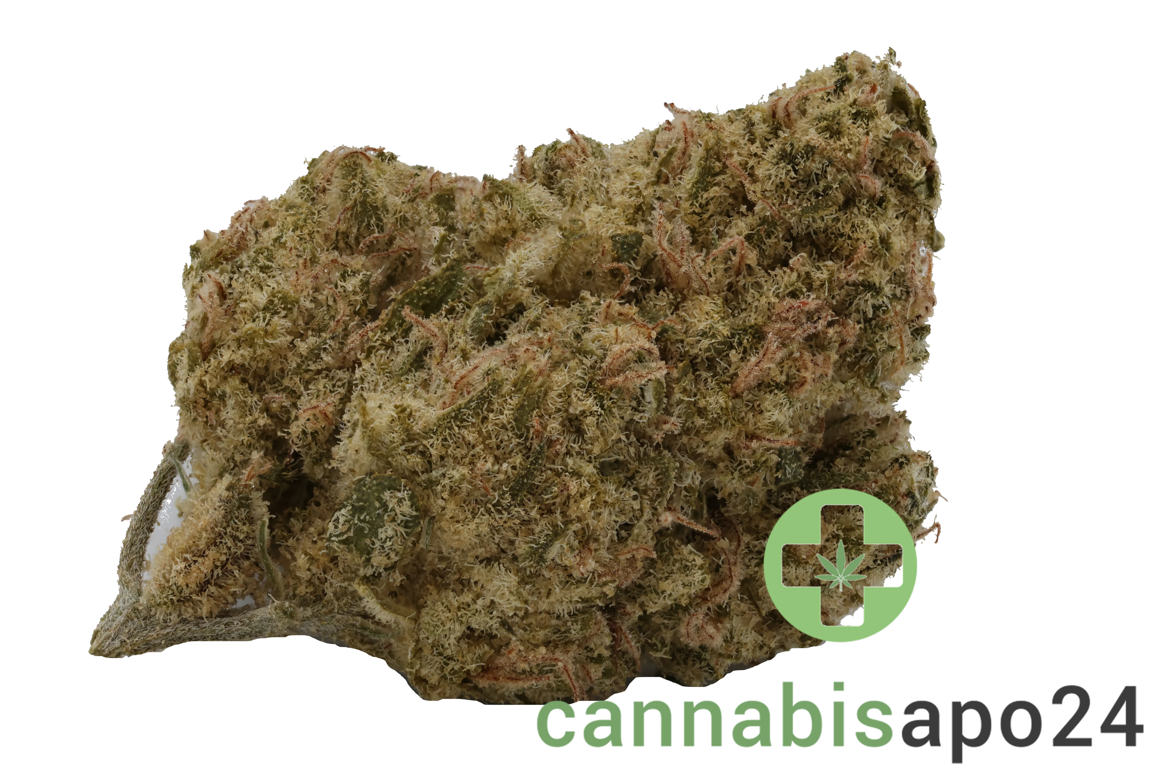 AVAAY 23/1 PYC - Peyote Critical