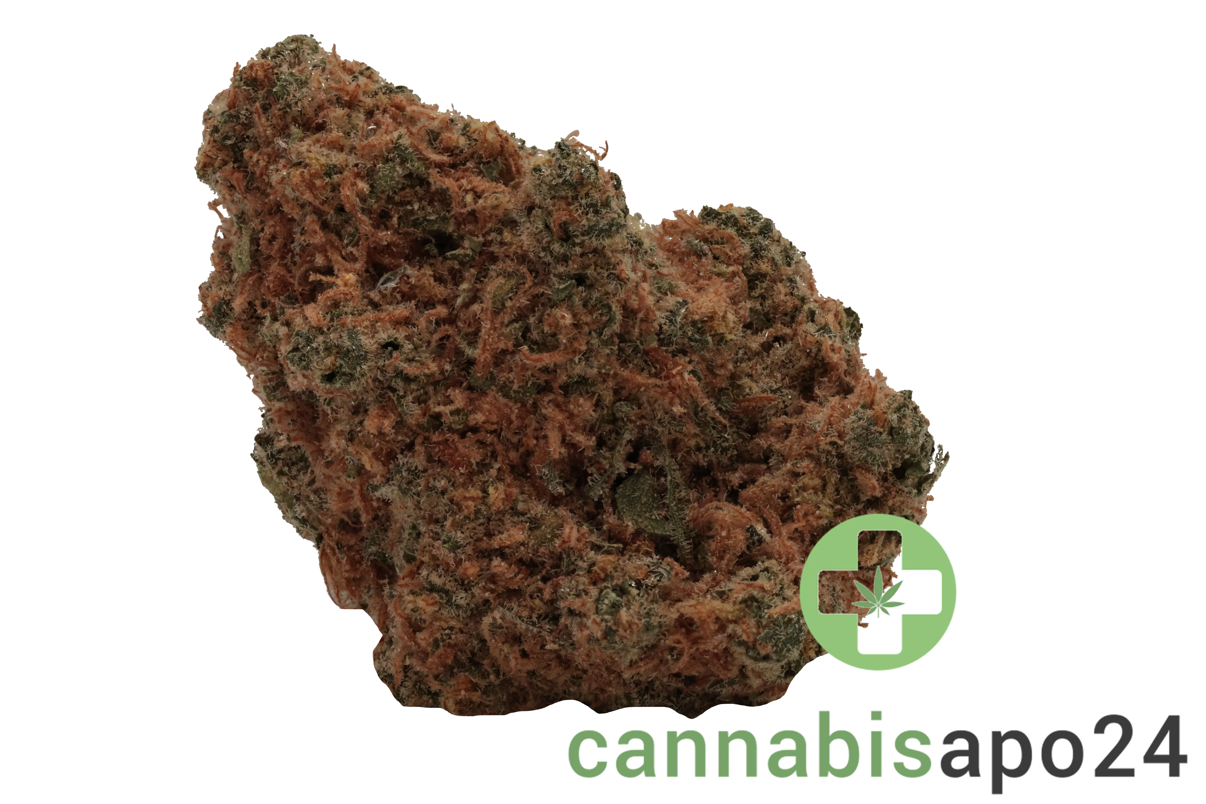 AVAAY 28/1 CK Critical Kush