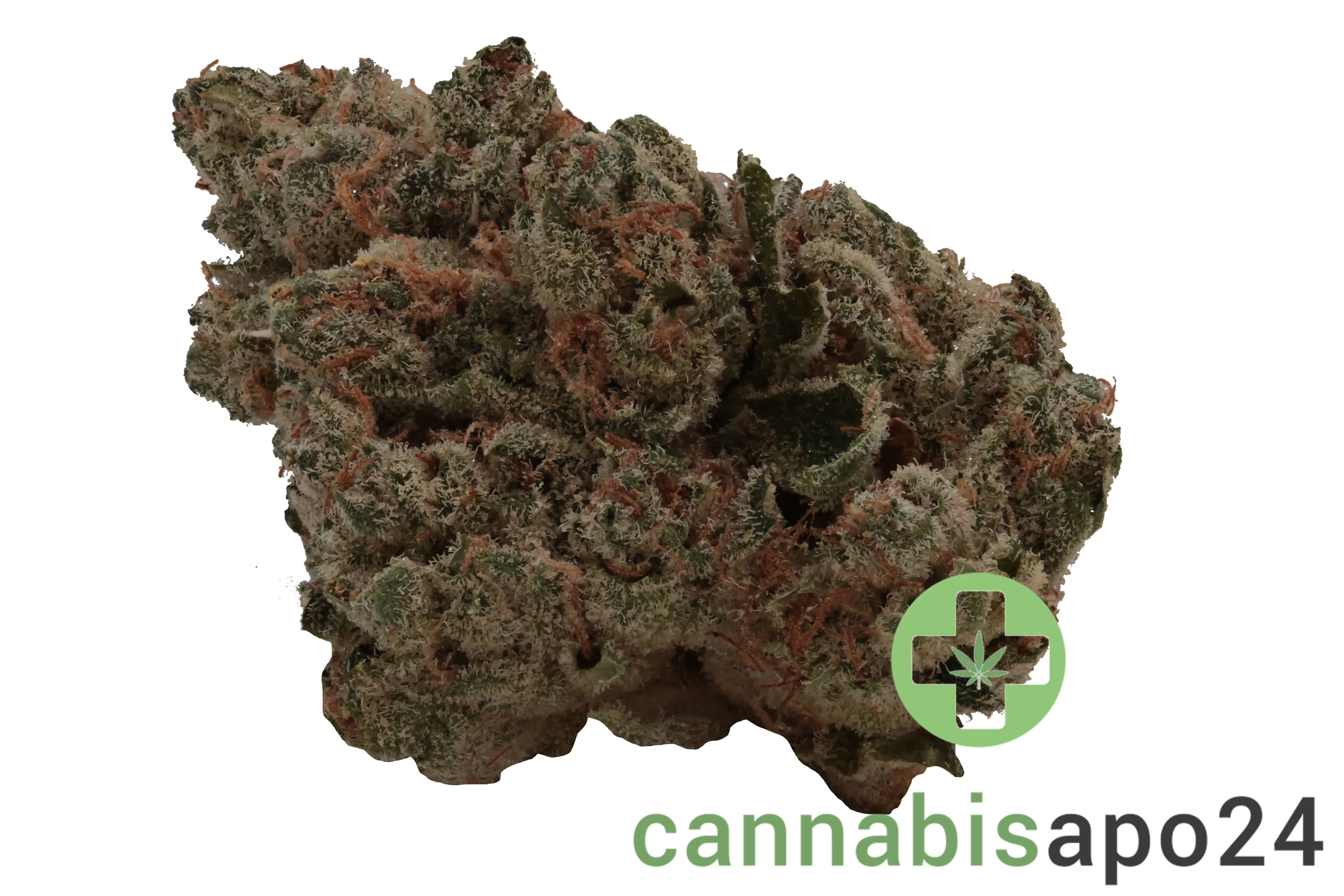 AVAAY Khalifa 24/1 KK Khalifa Kush