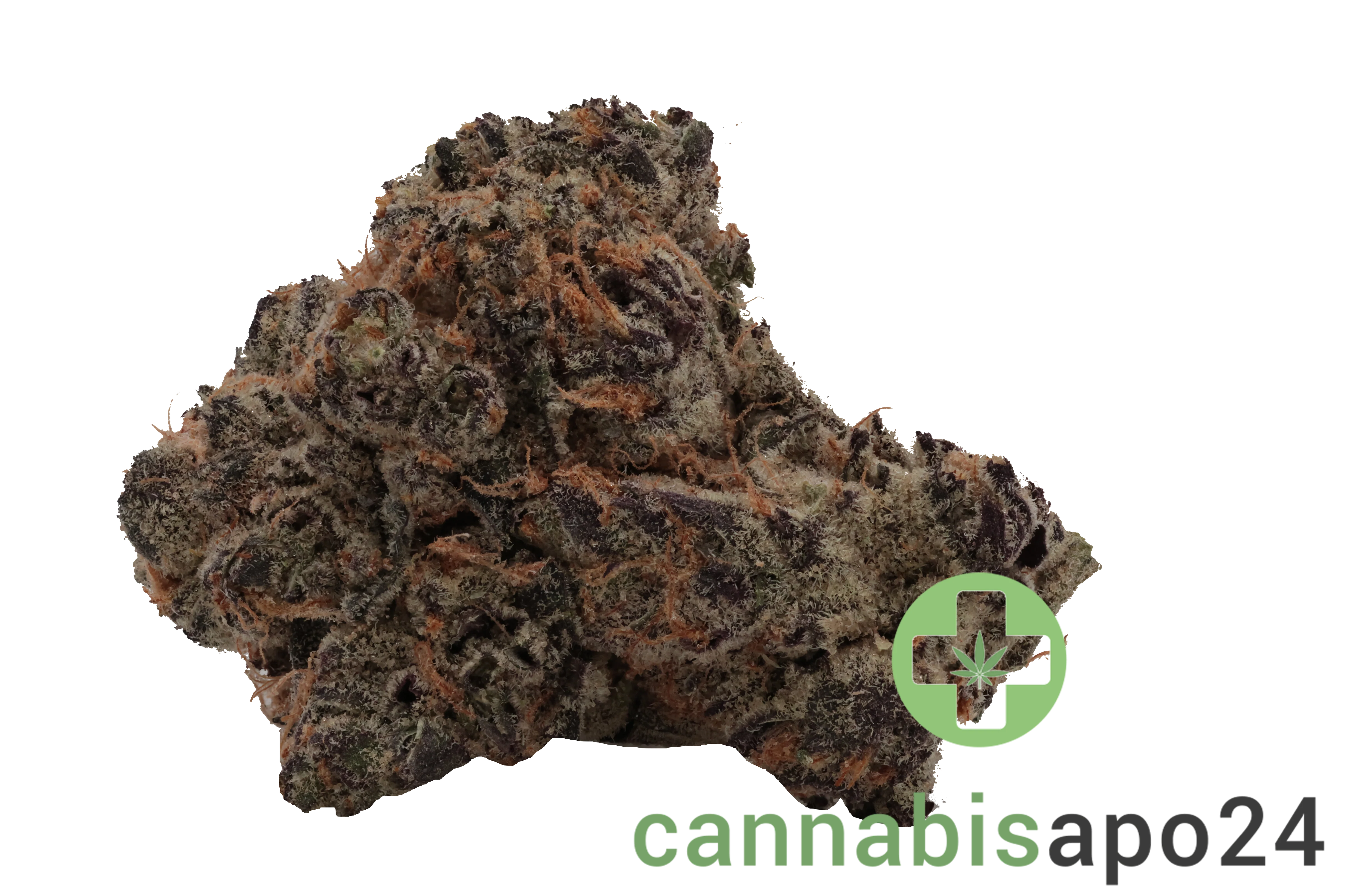AVAAY Signature 23/1 BYY - Blueberry Yum Yum