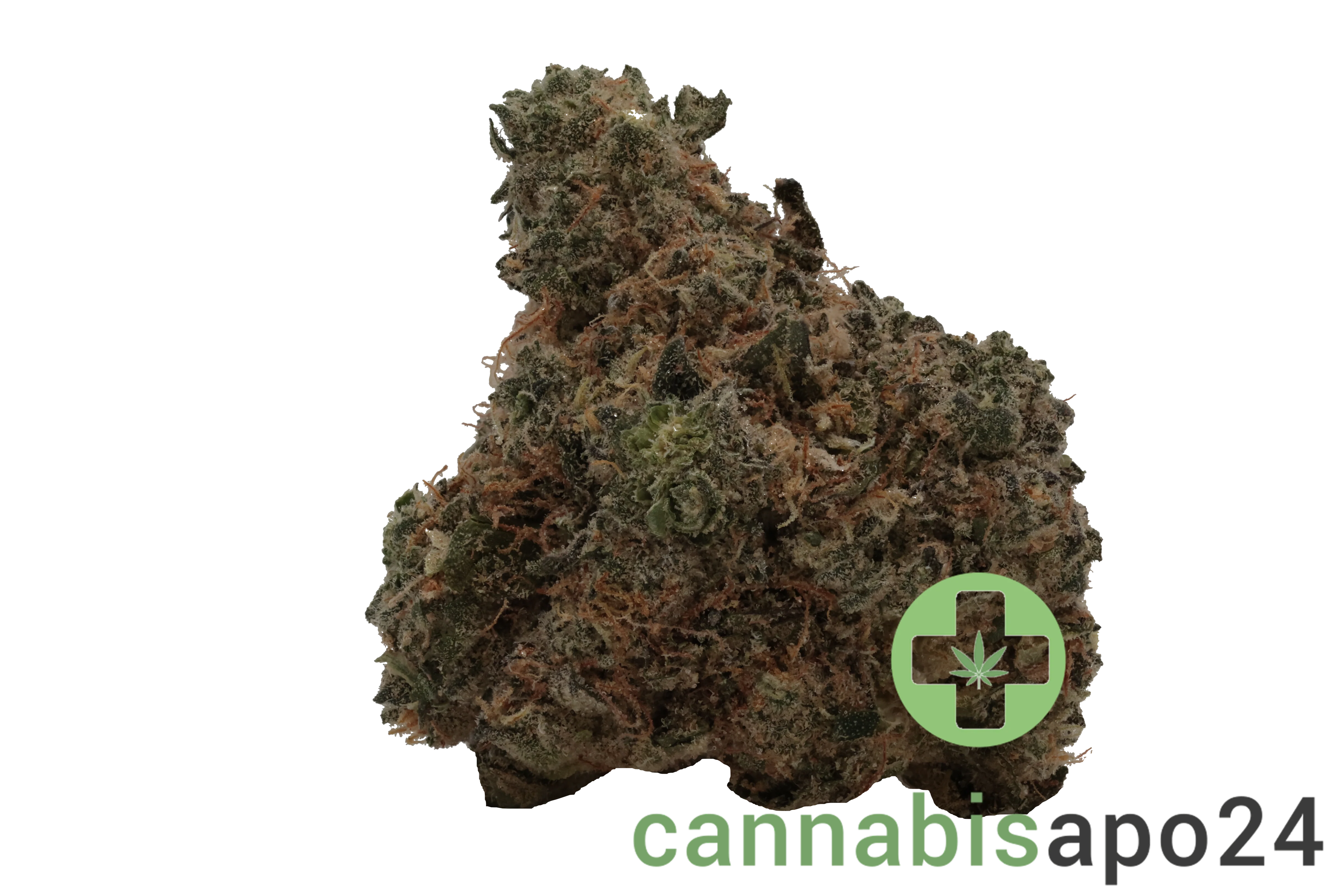 Bathera 23/1 DS Dank Sinatra
