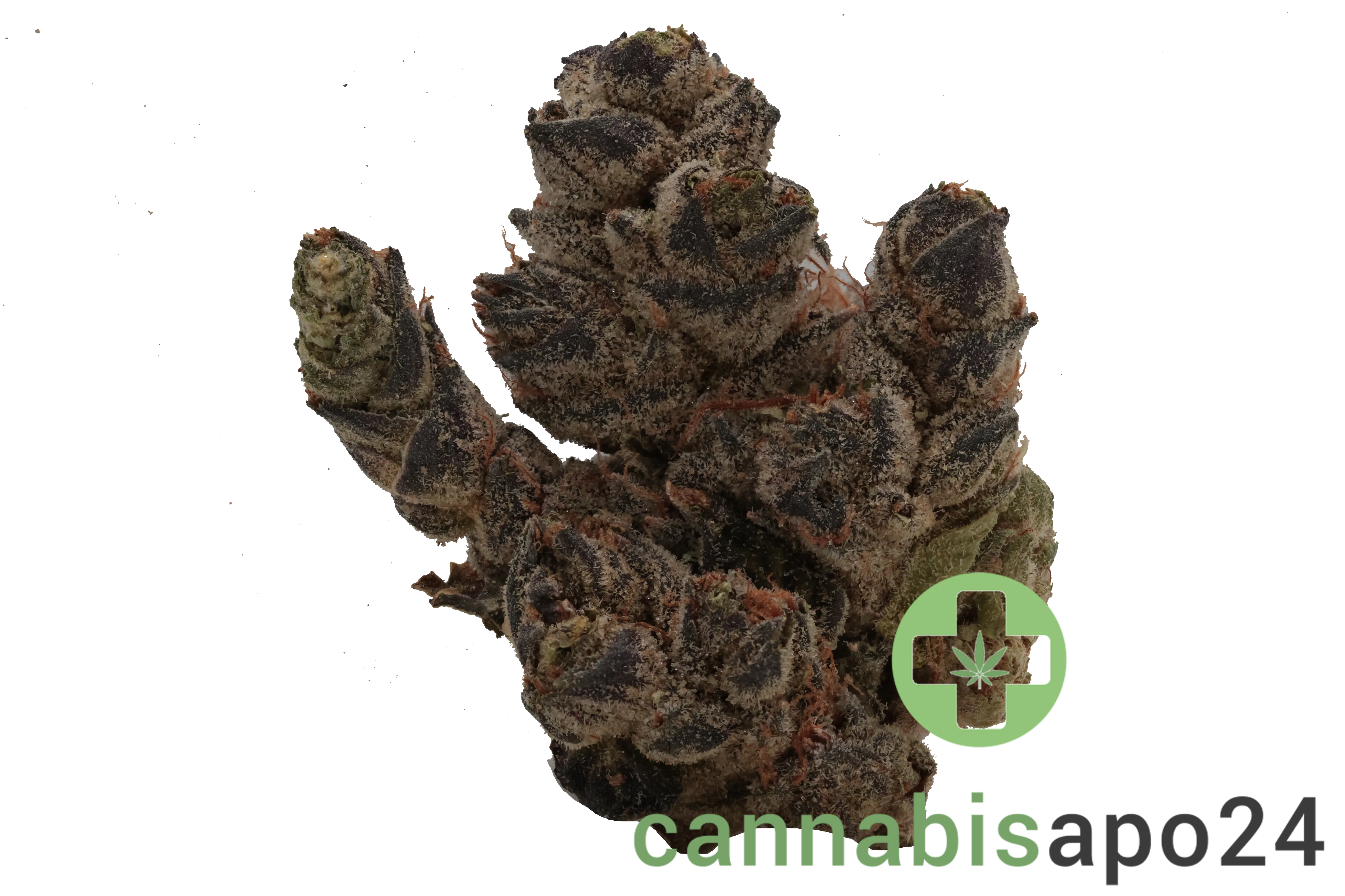 BC GREEN 27/1 HGH
