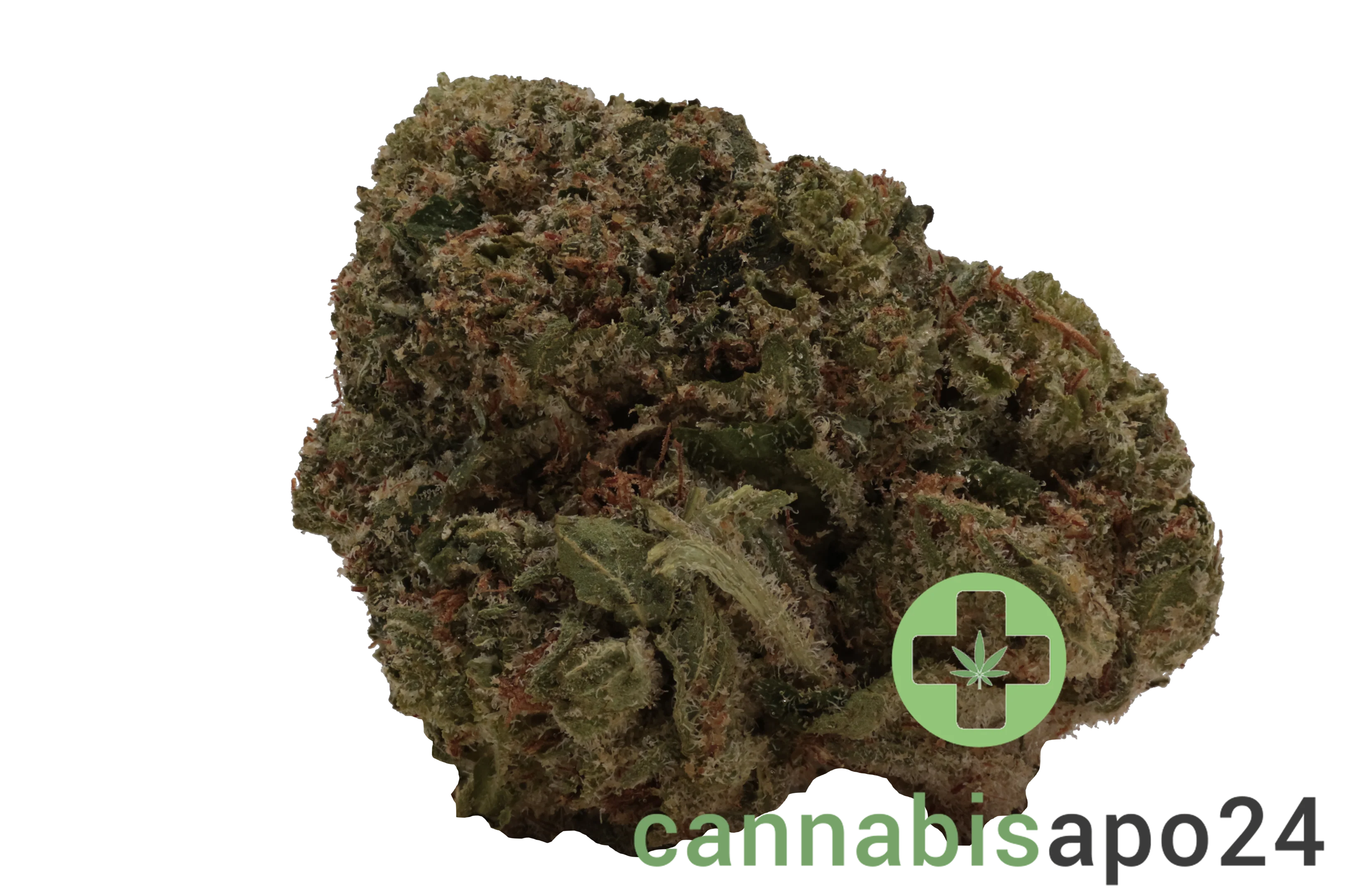 Beacon PK T22 Pink Kush