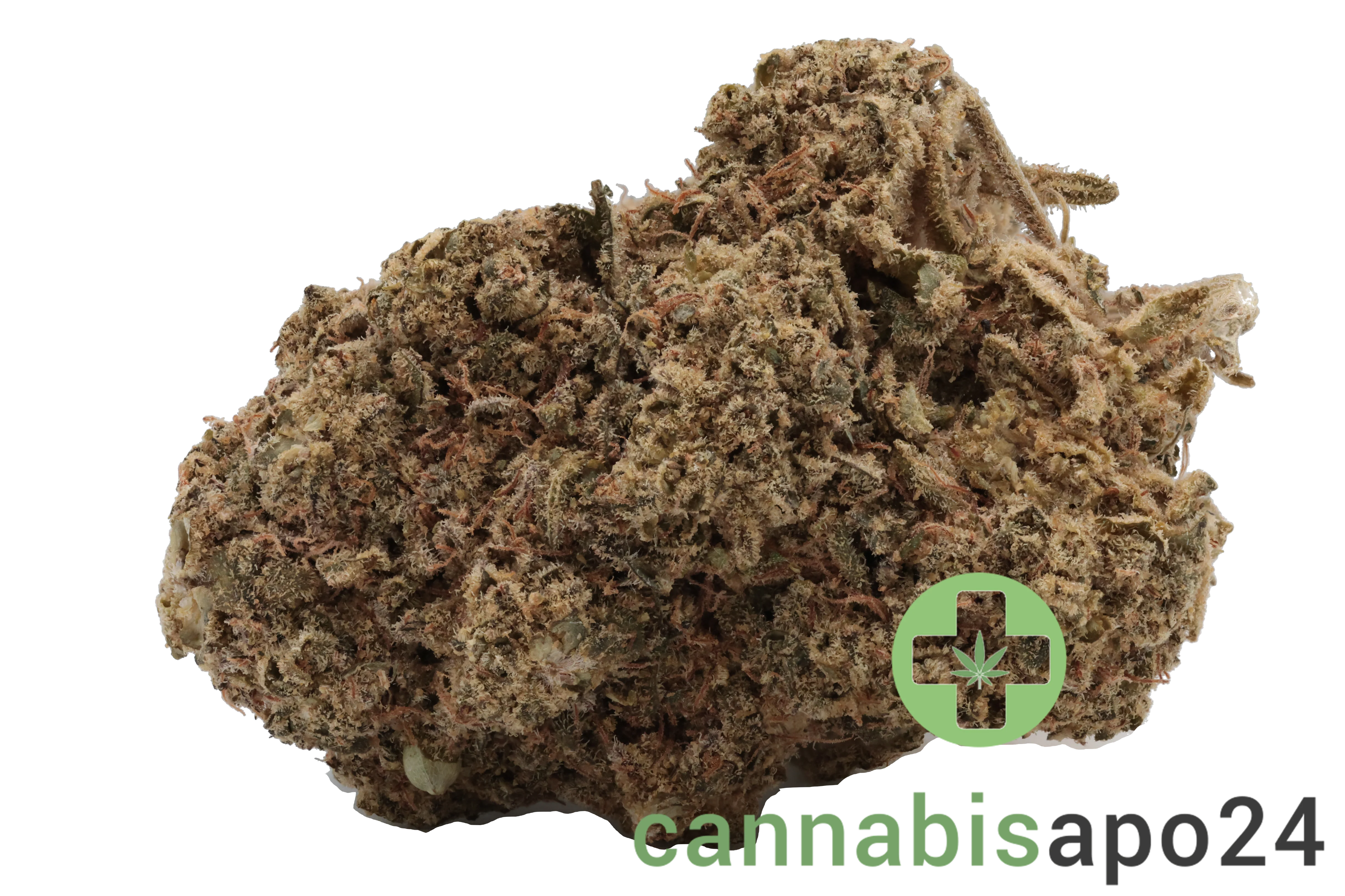 Blackrose 14 PT