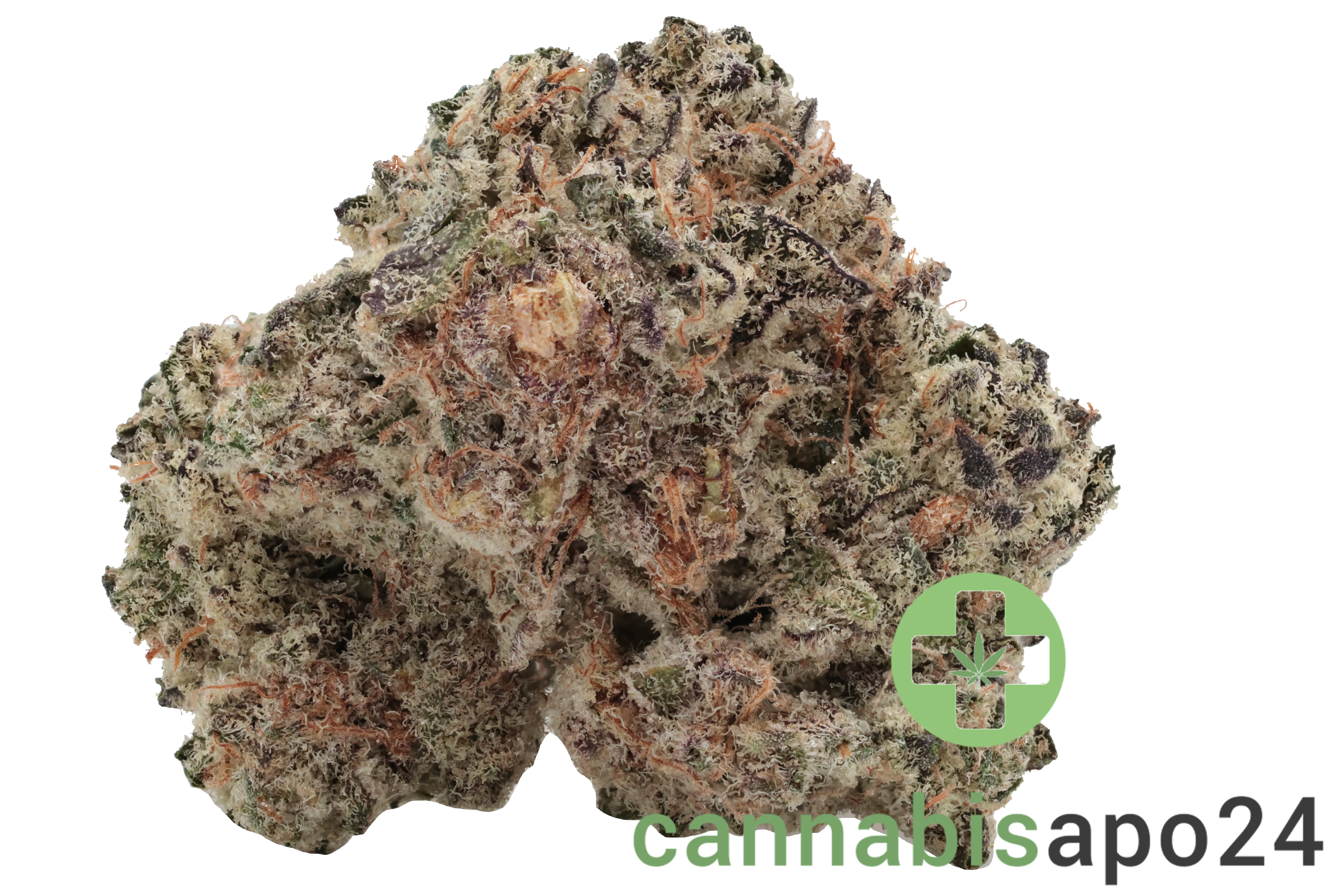 Botanics Purple Cream 22/1