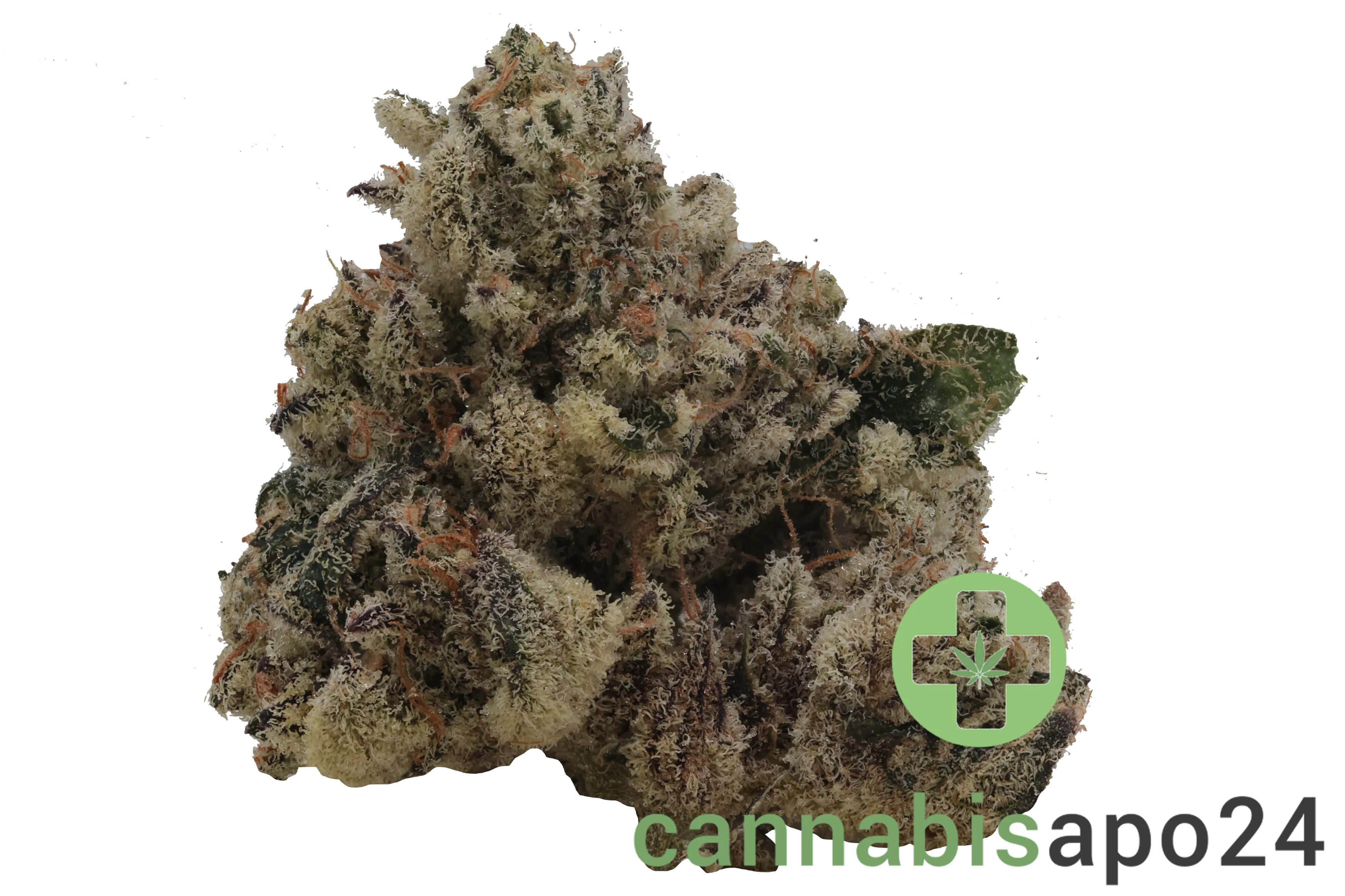 Botanics Purple Cream 26/1