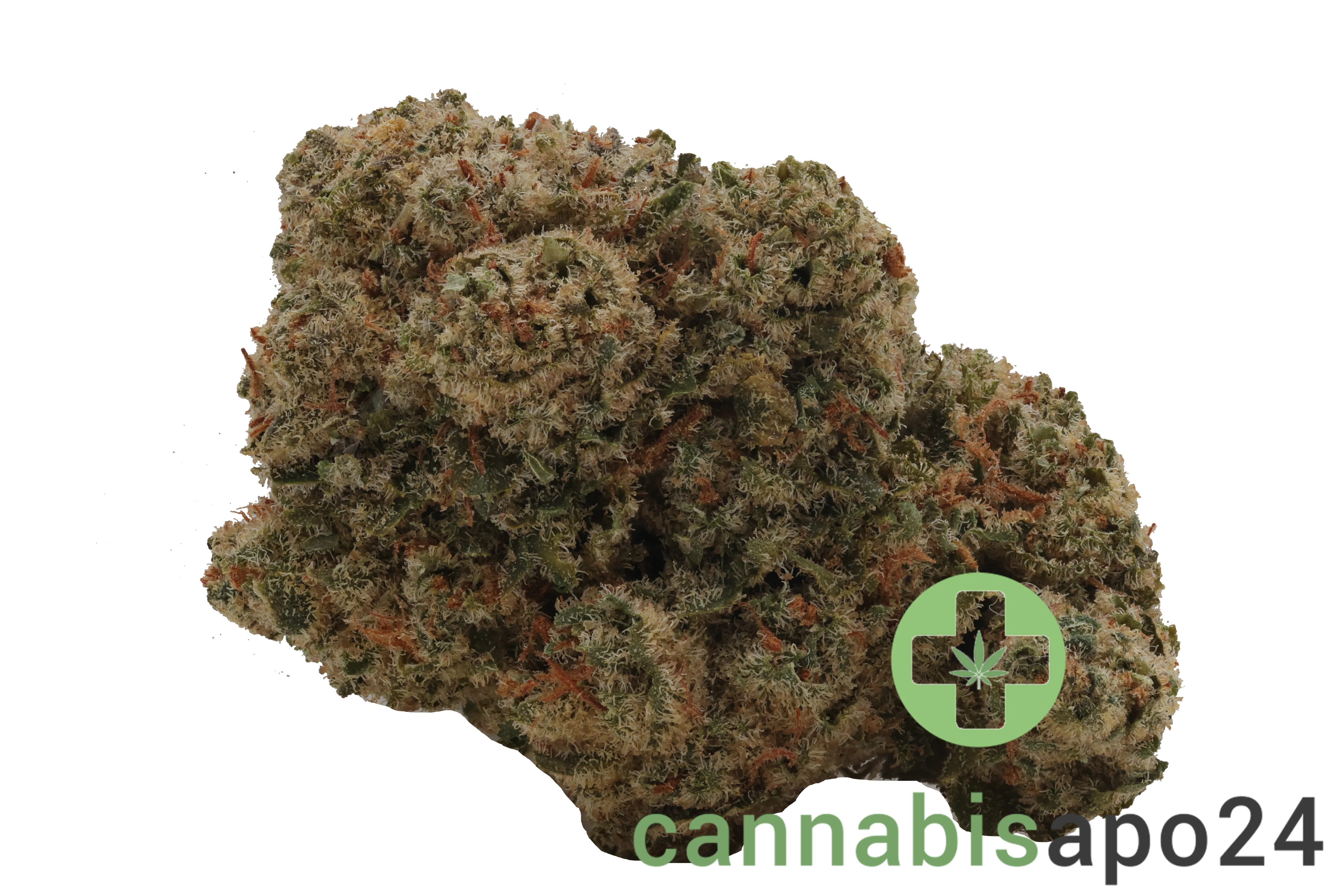 Briah MOB 25 Motor Breath