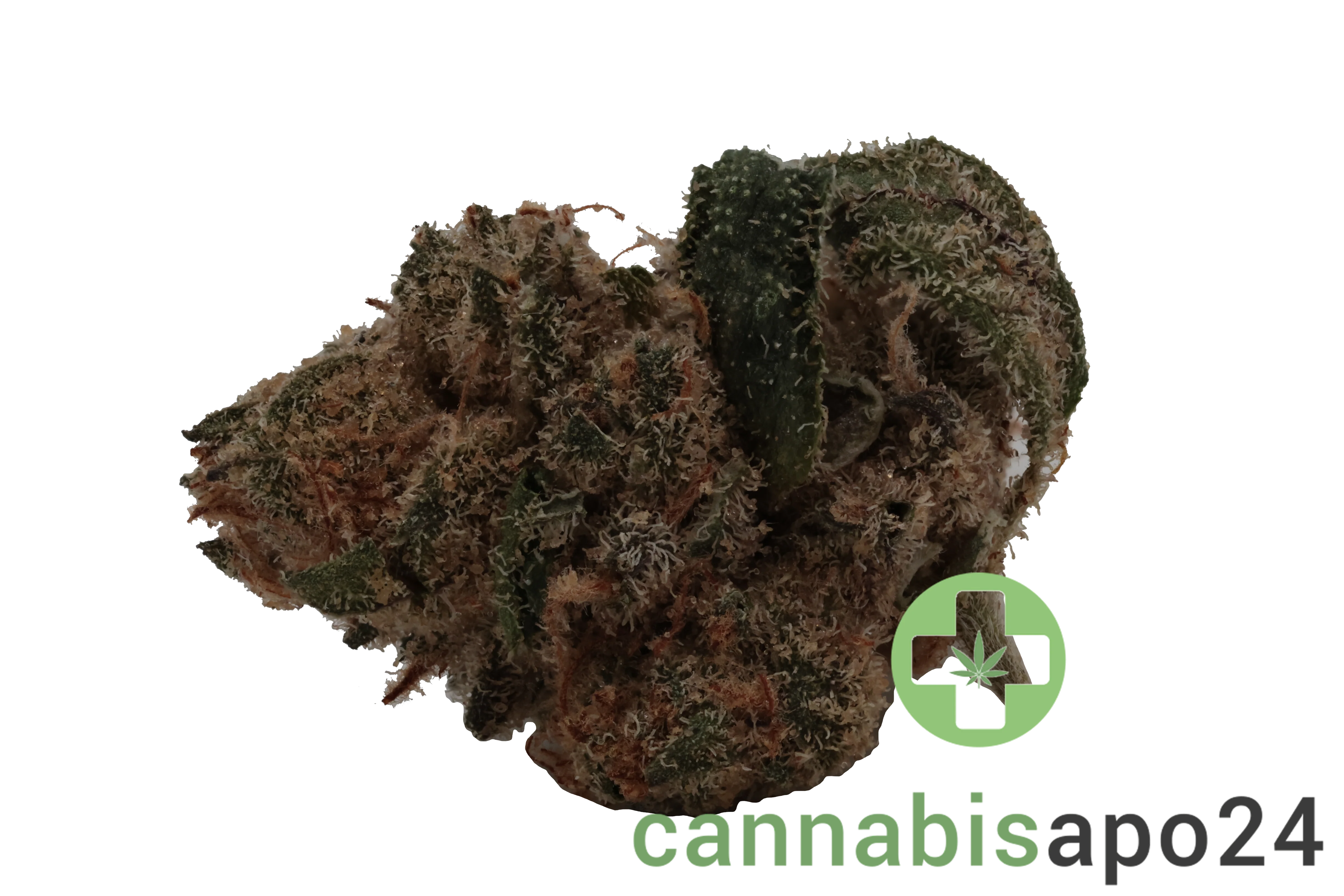 Buuo 20/1 FO Boss Haze