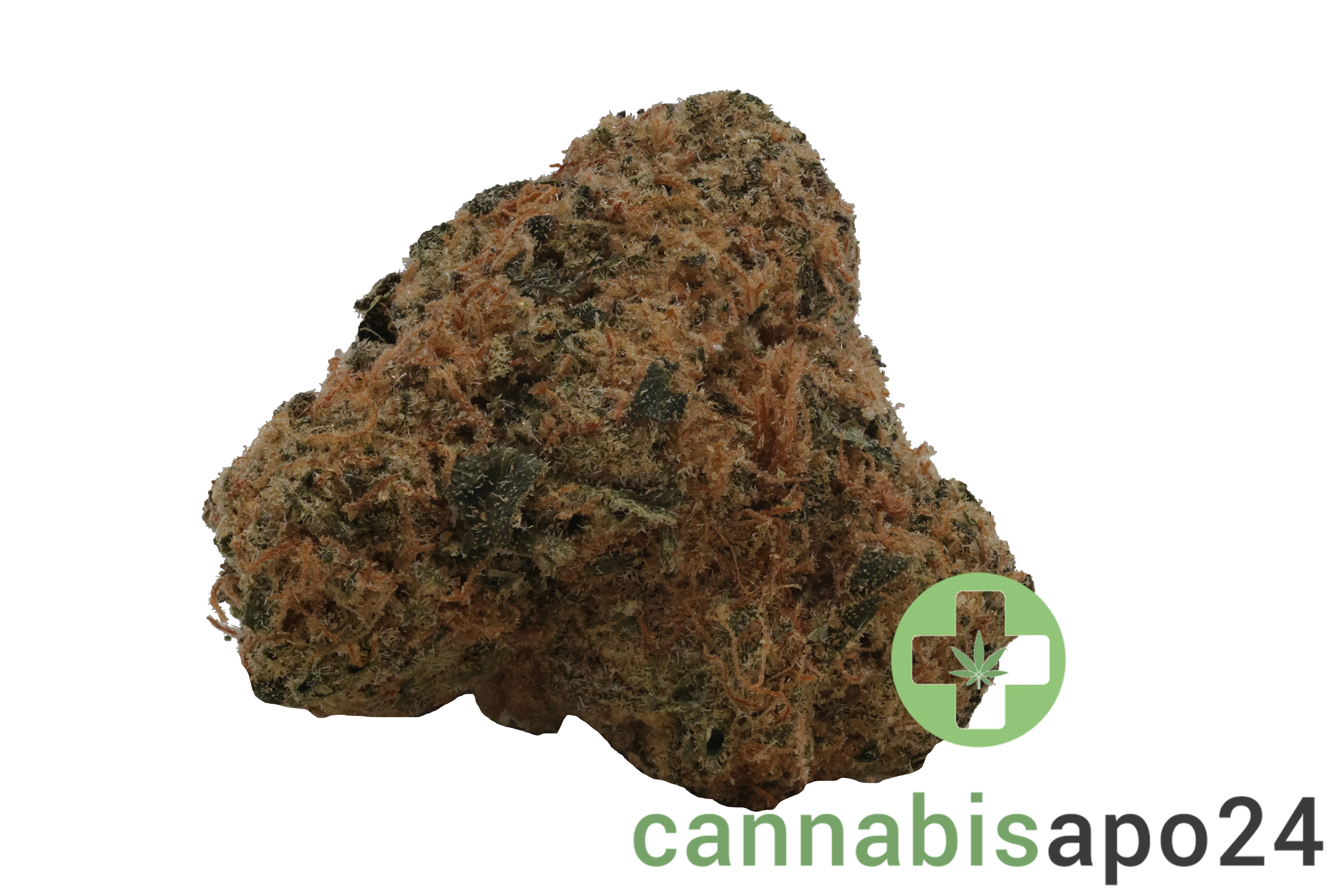 Buuo 28/1 BC Blue Cheese