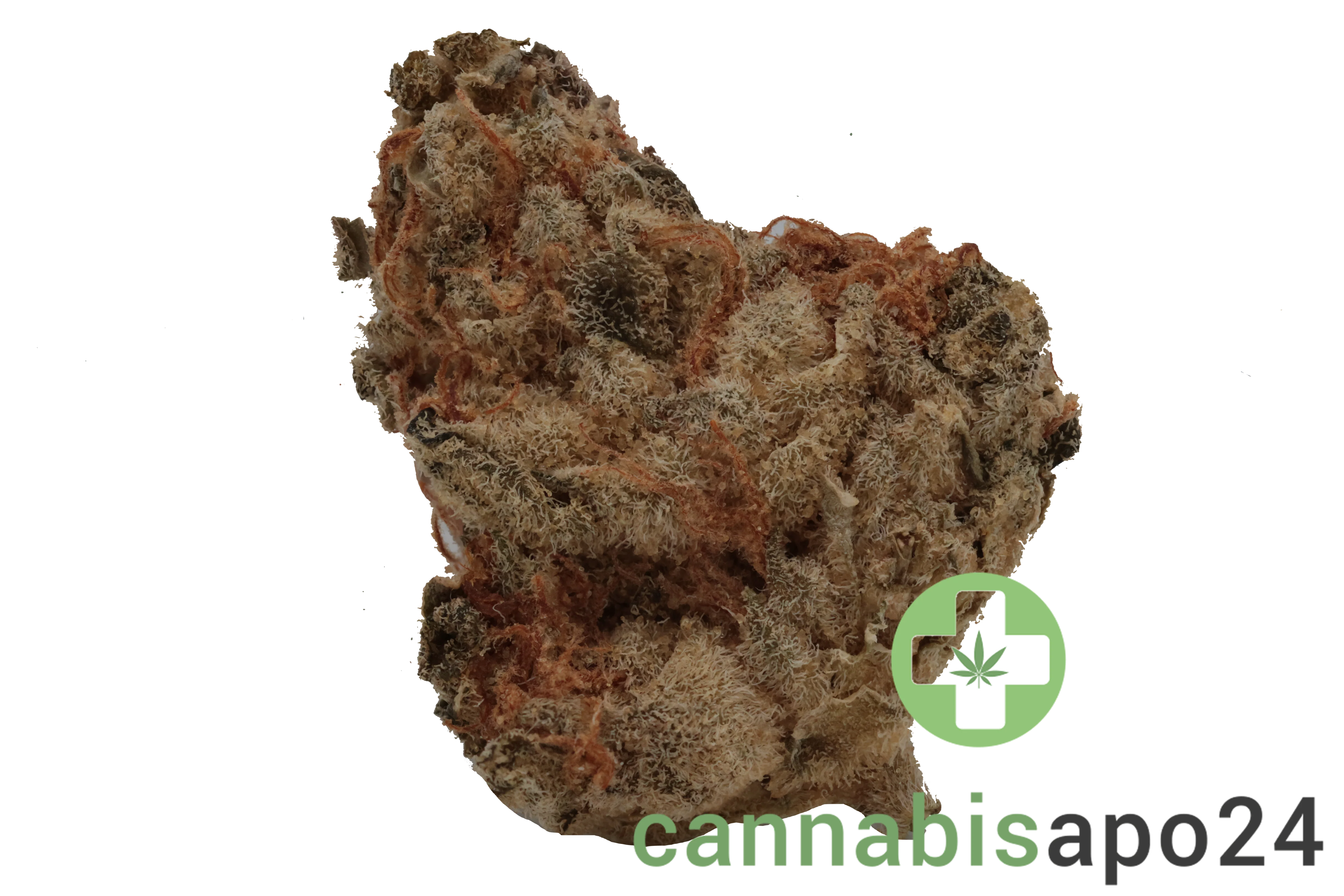Canify 23/1 PRT Ku. Black Cherry Pie S
