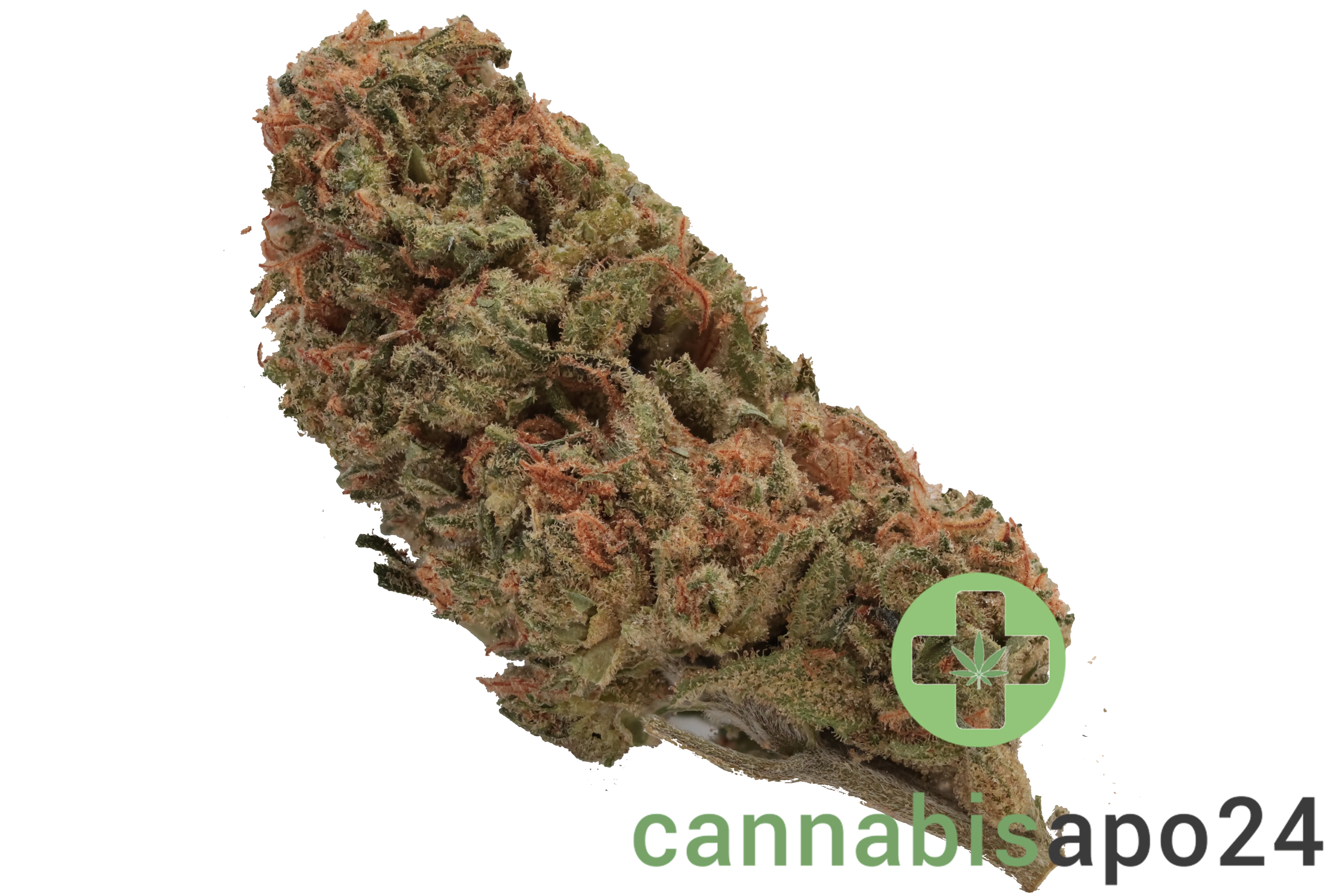 Canify 25/1 CO Ku. Kush Mints