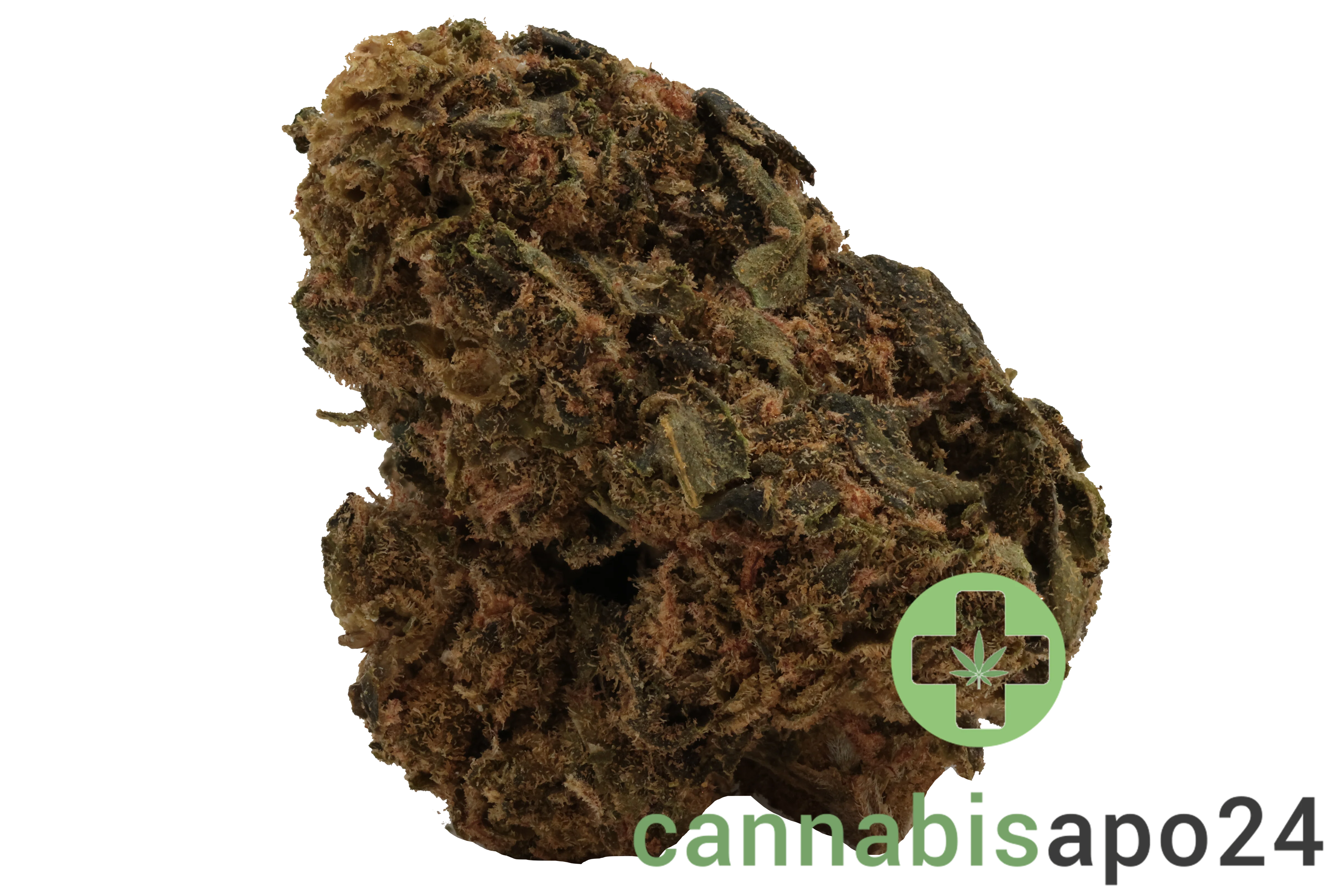 Canify Flos 18/1 UY  - Big Buddah