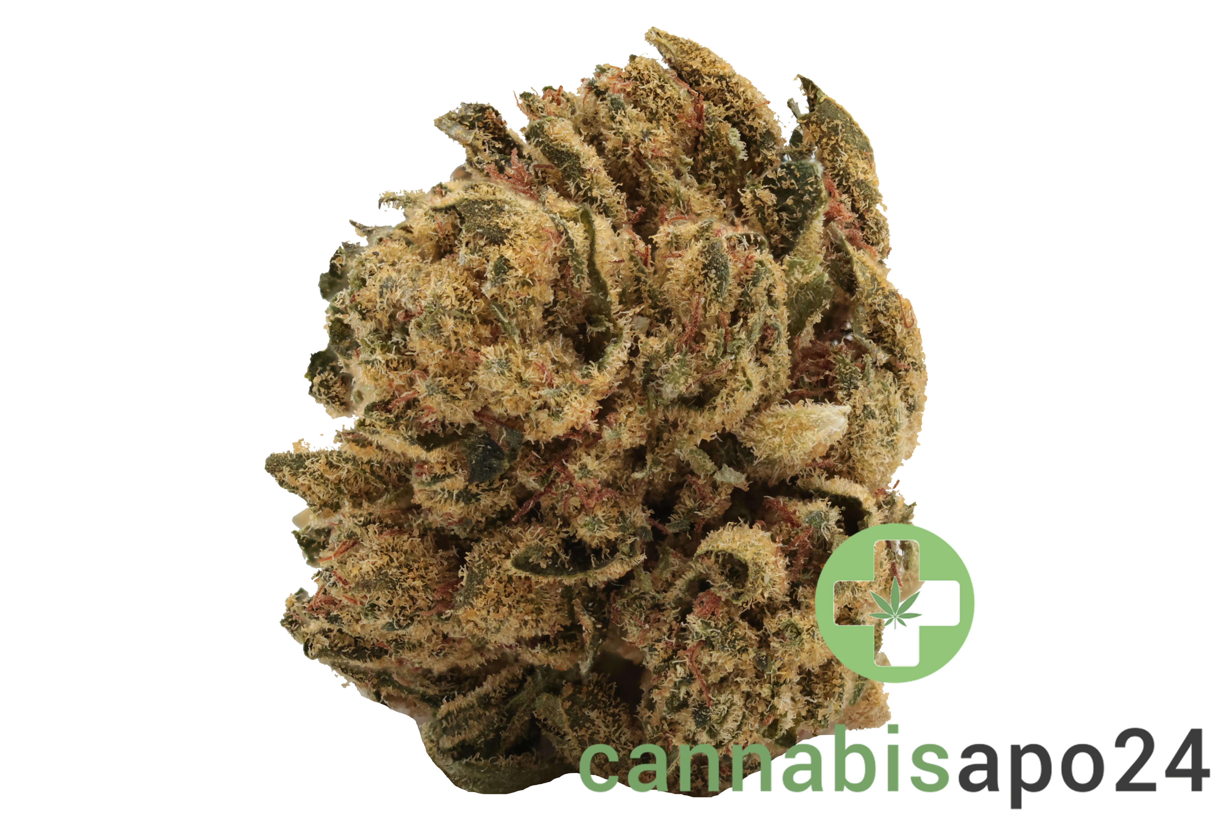 Canify Flos 18/1 UY GG - Gorilla Glue