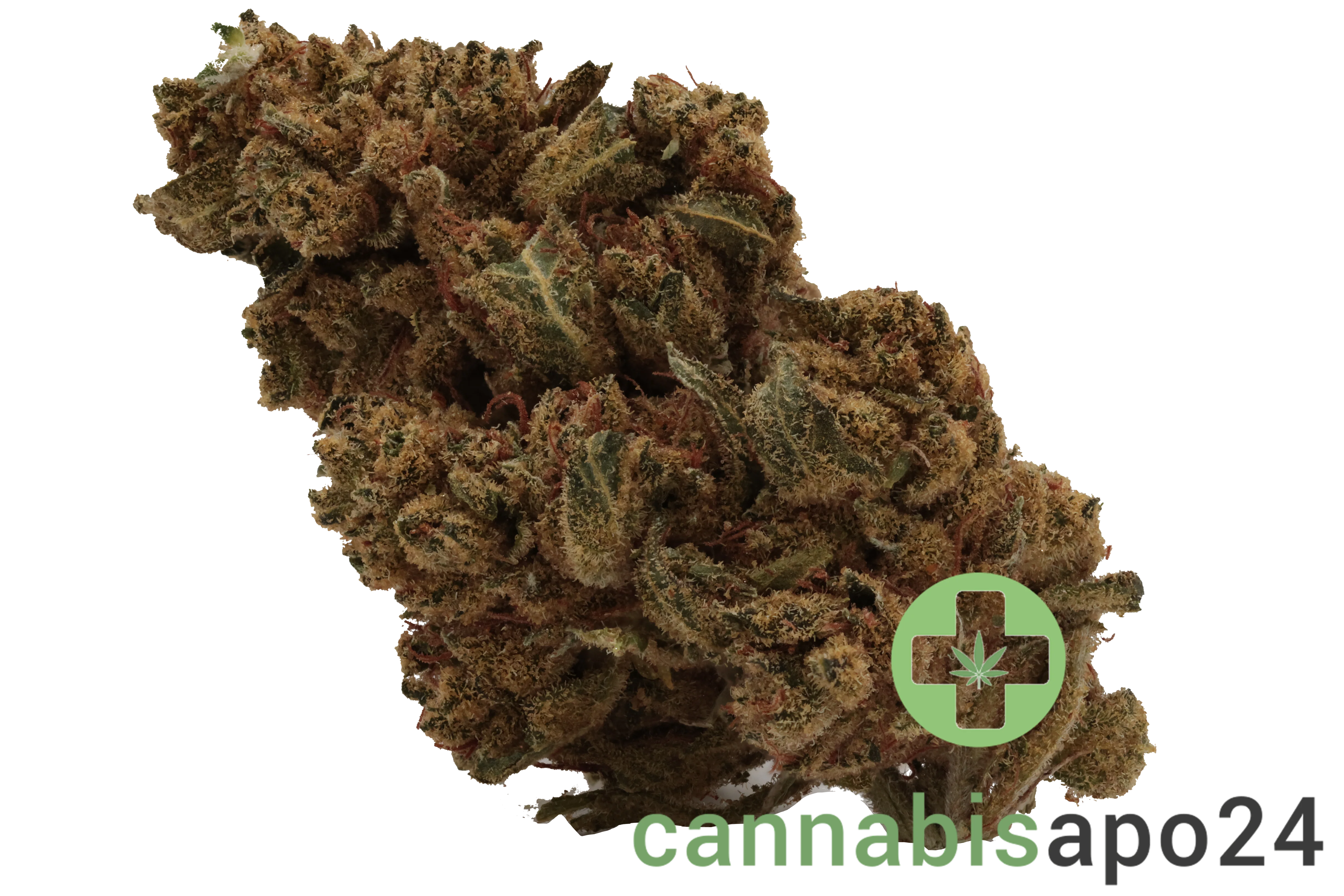 Canify Flos 22/1 UY GG - Gorilla Glue
